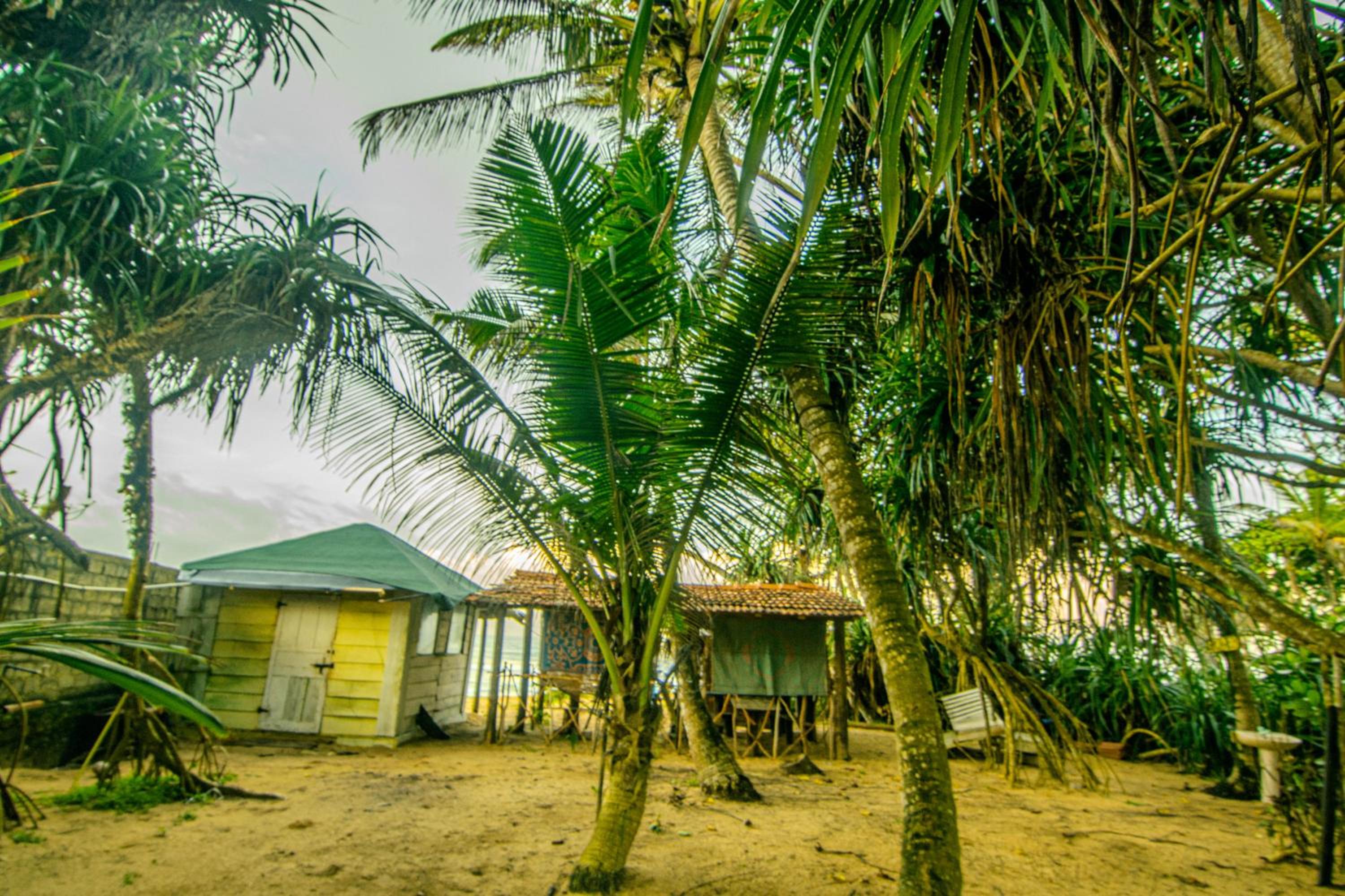 Hikkaduwa backyard beach homestay view 2