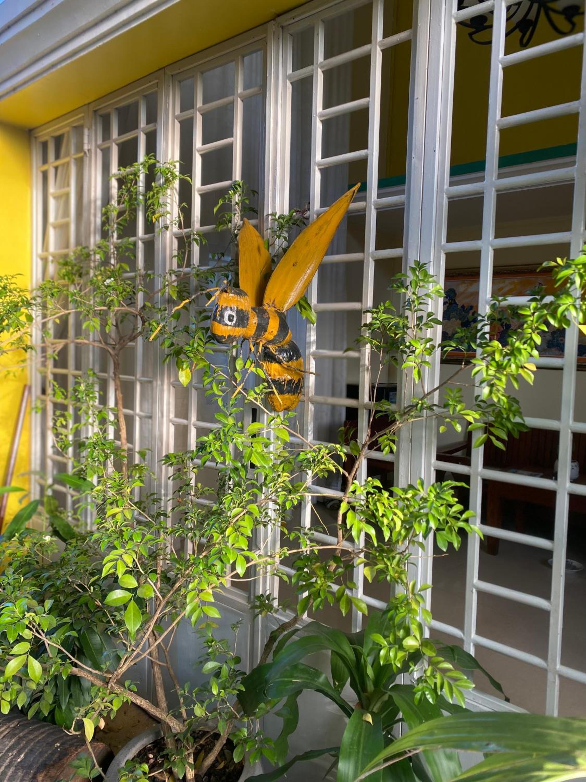 Homestay Yellow Natural House