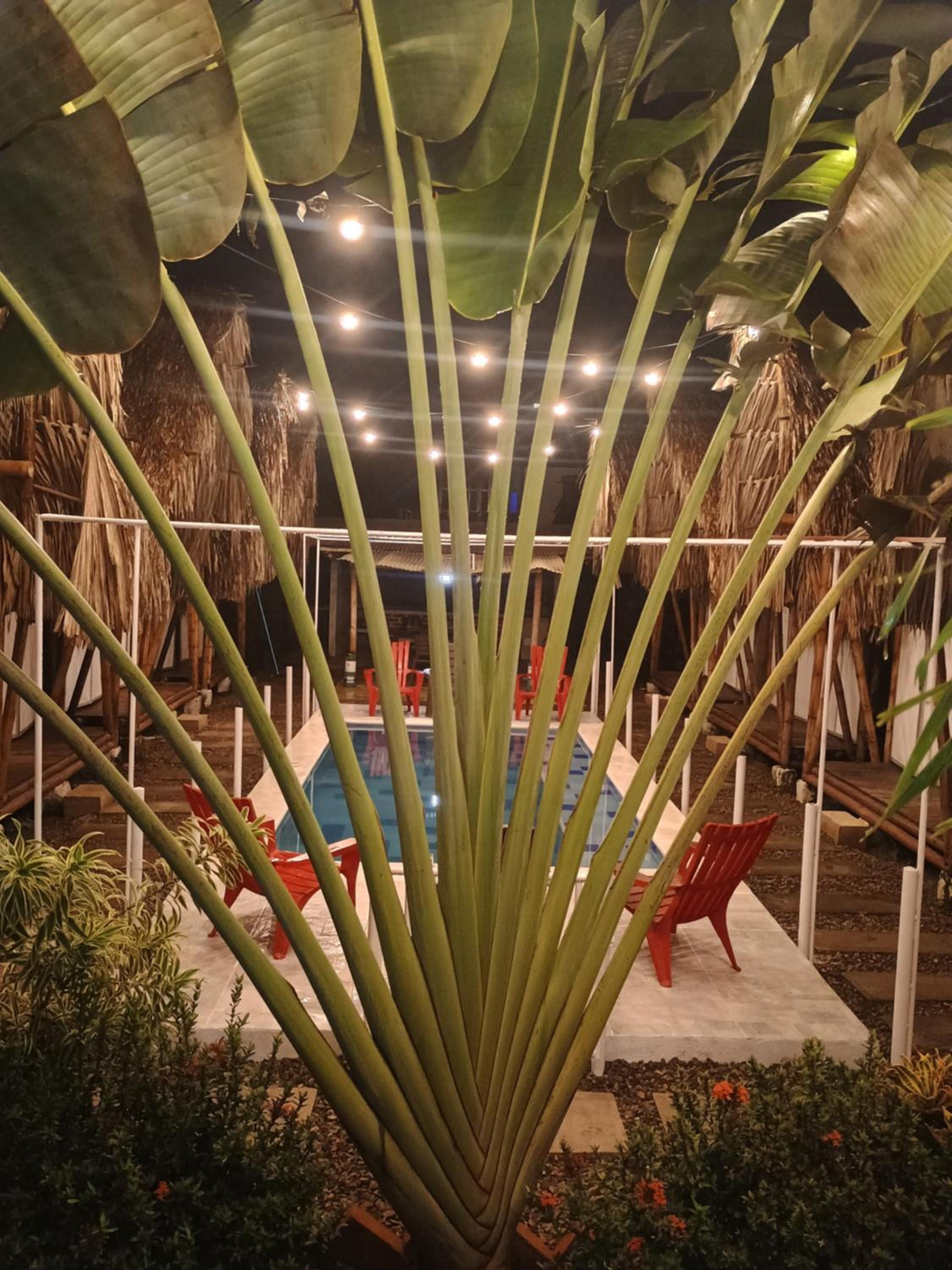 Cabaña Beach Palomino