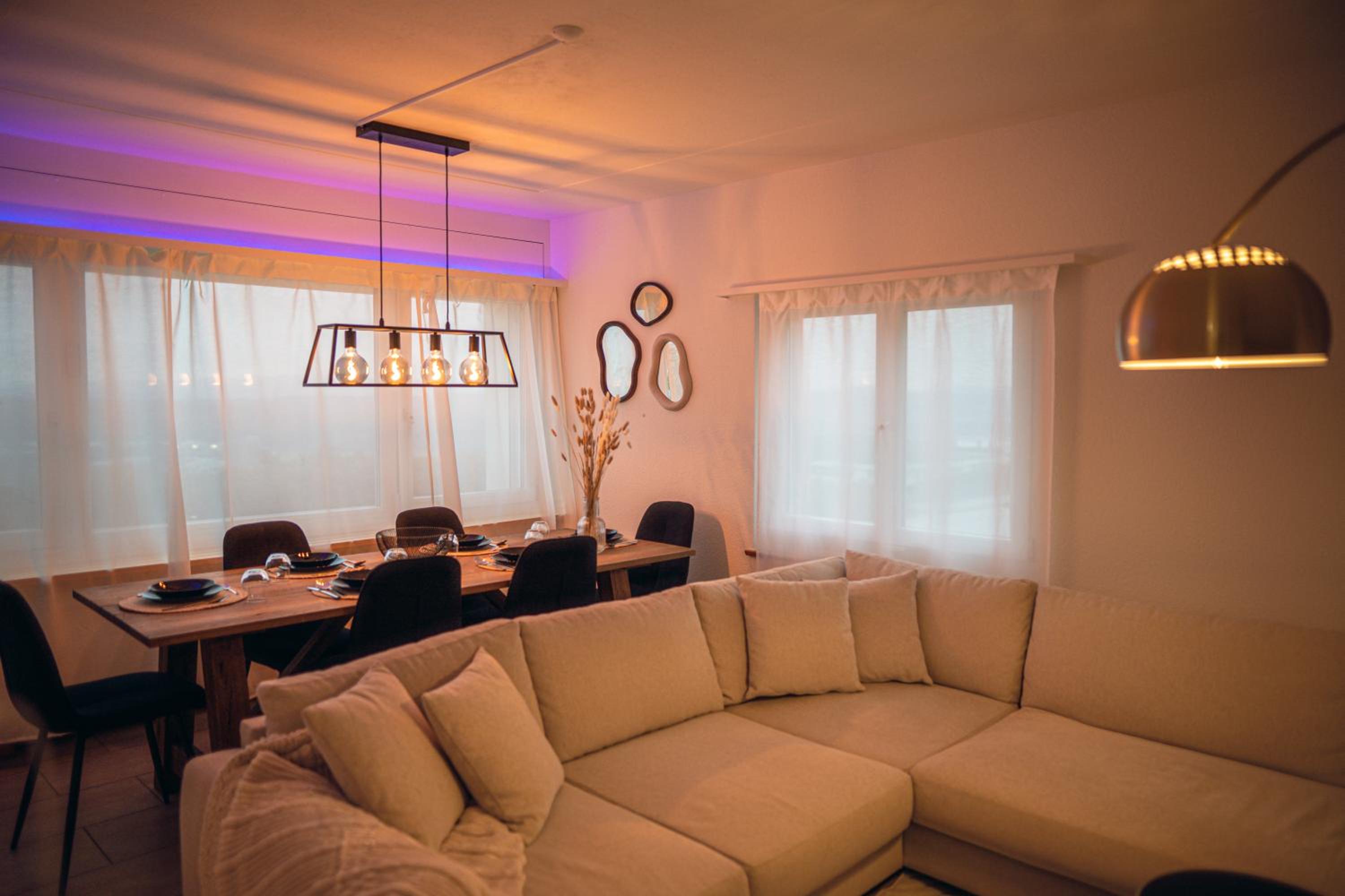 Sky Paradise 20min to zurich city centre