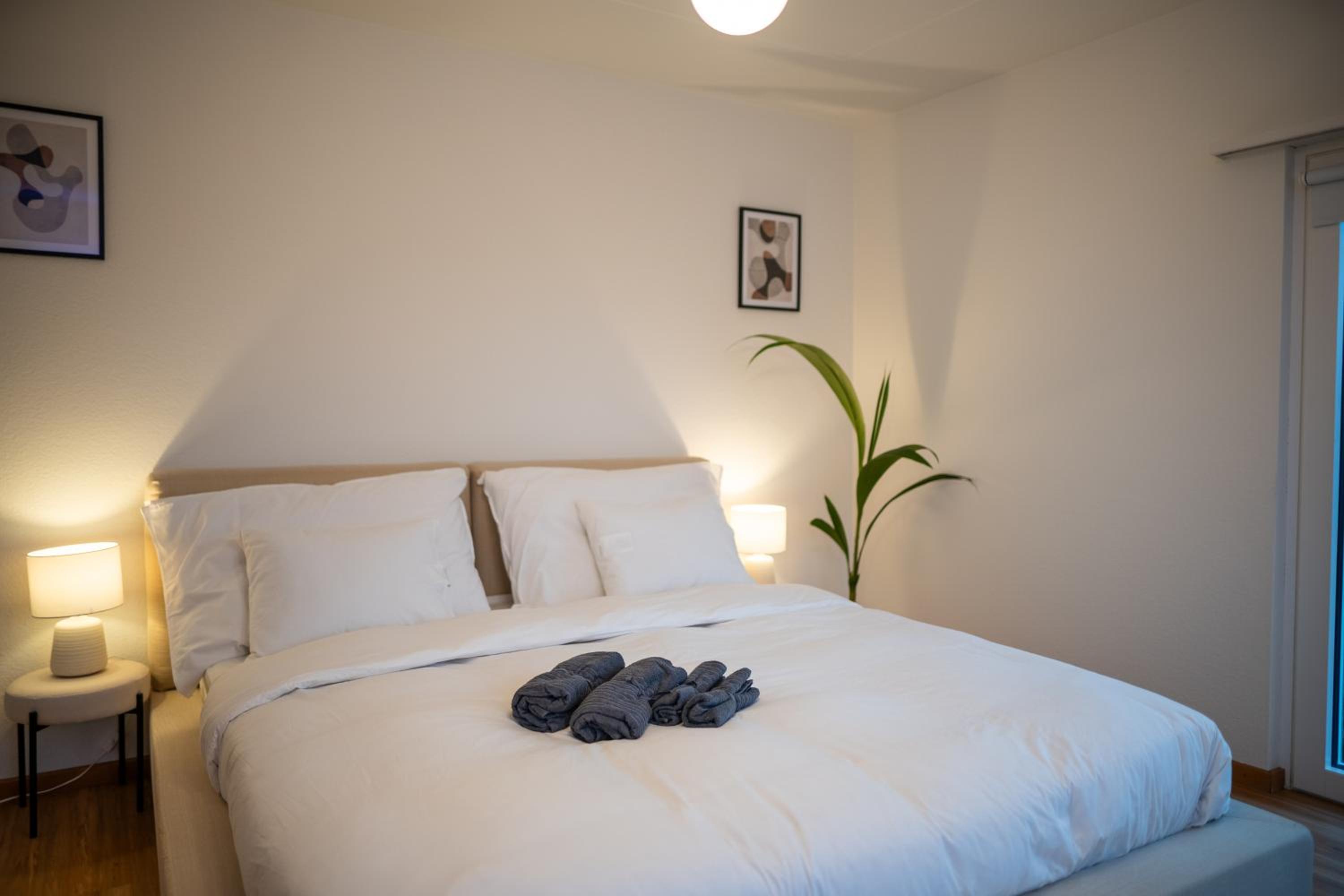 Sky Paradise 20min to zurich city centre