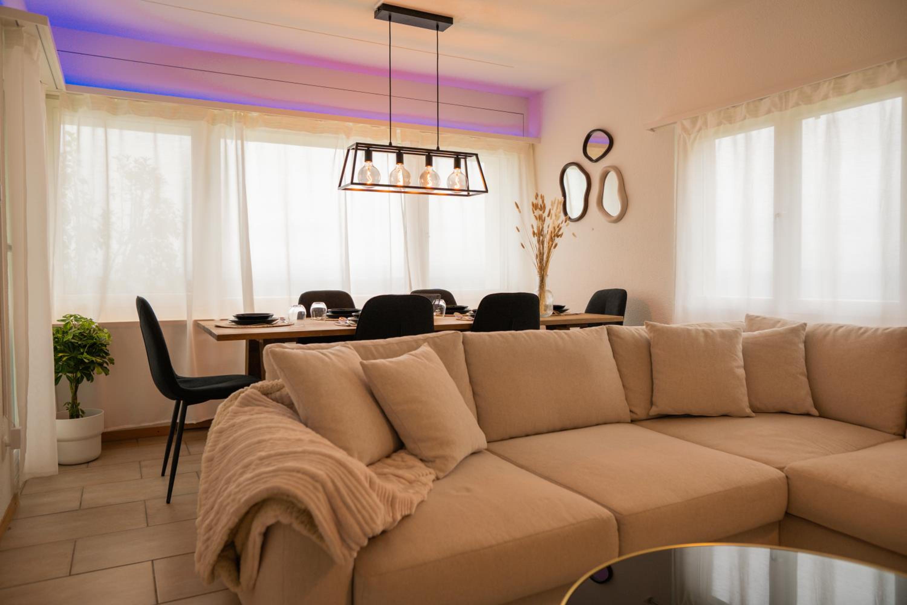Sky Paradise 20min to zurich city centre