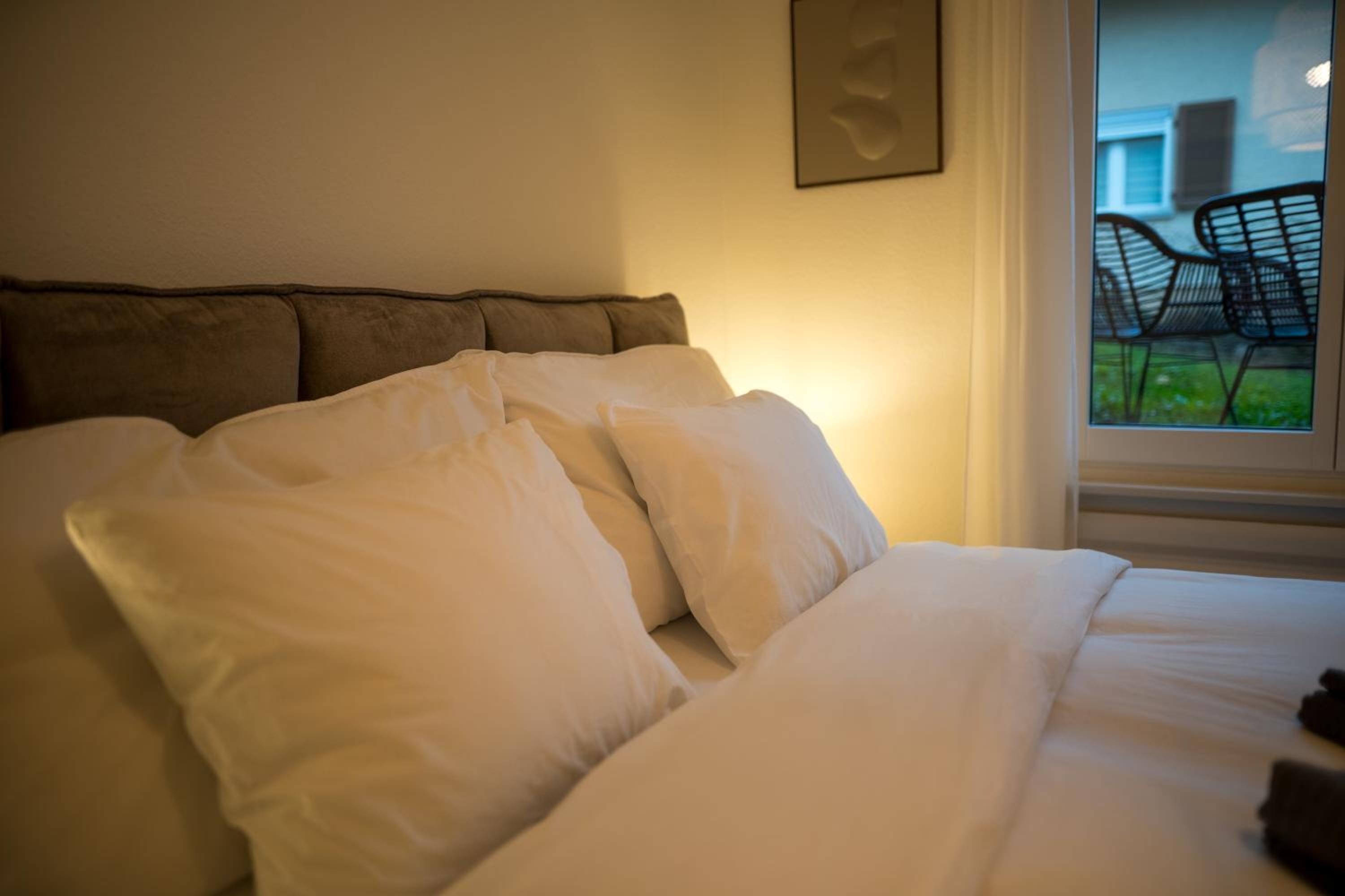 Sky Paradise 20min to zurich city centre