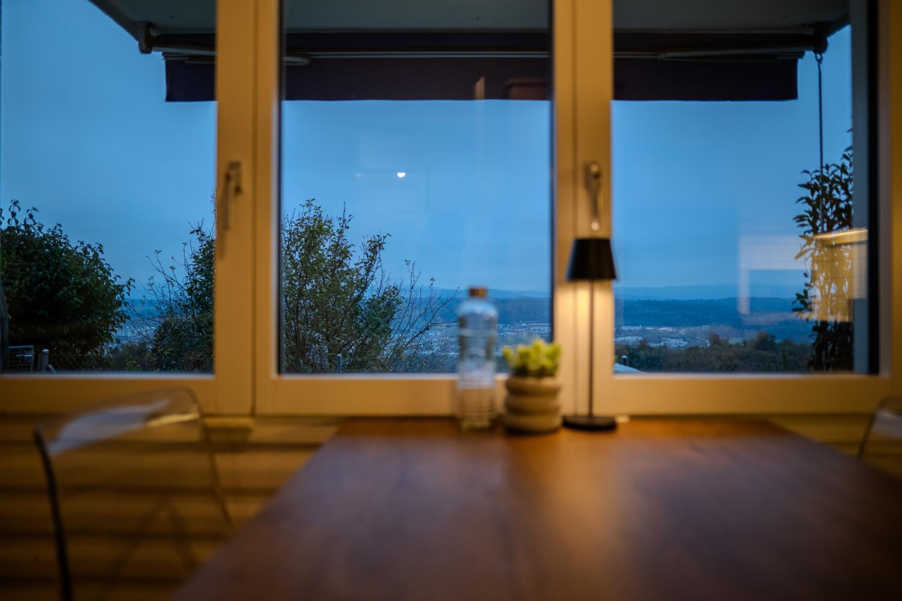 Sky Paradise 20min to zurich city centre