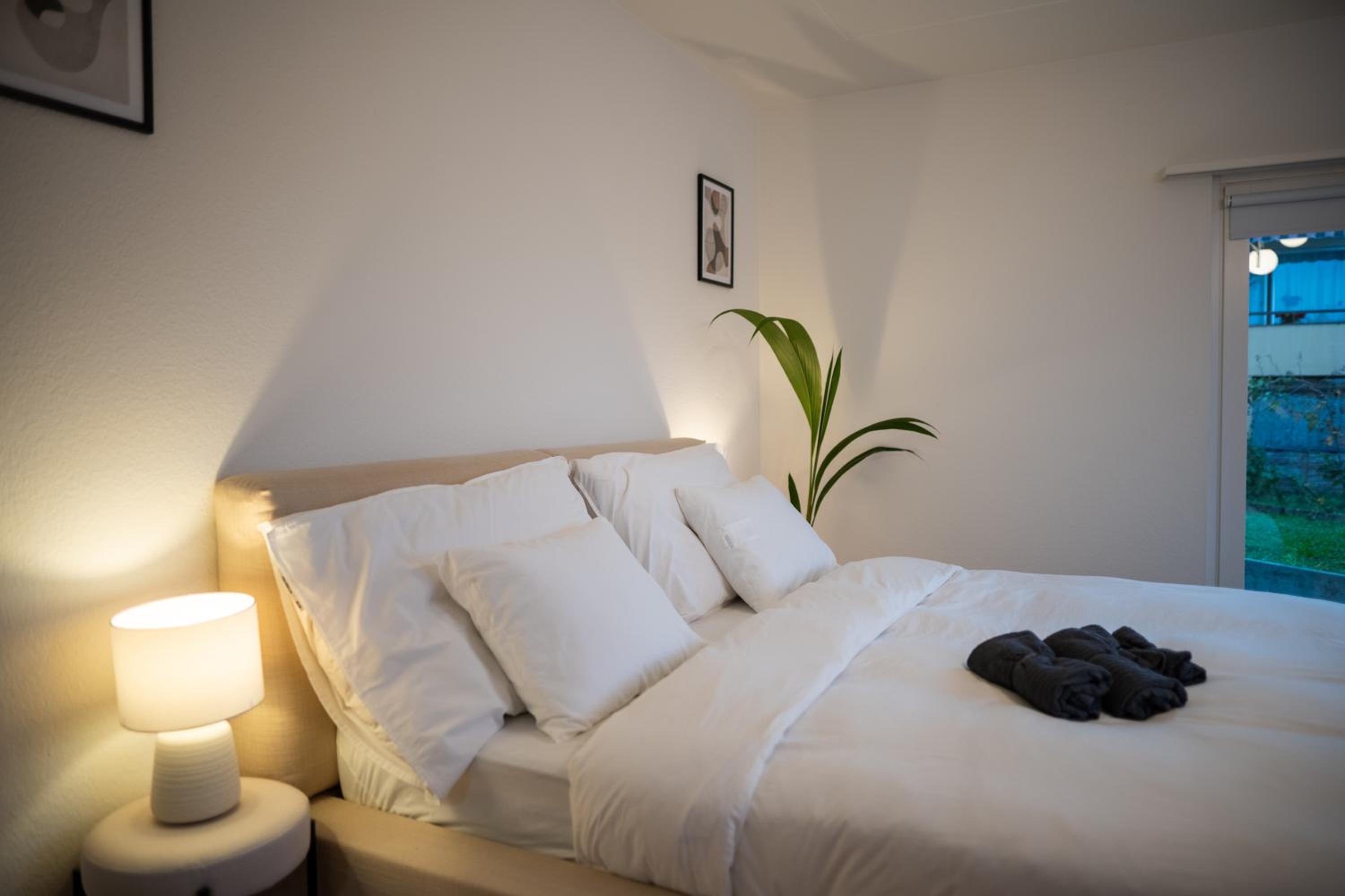 Sky Paradise 20min to zurich city centre