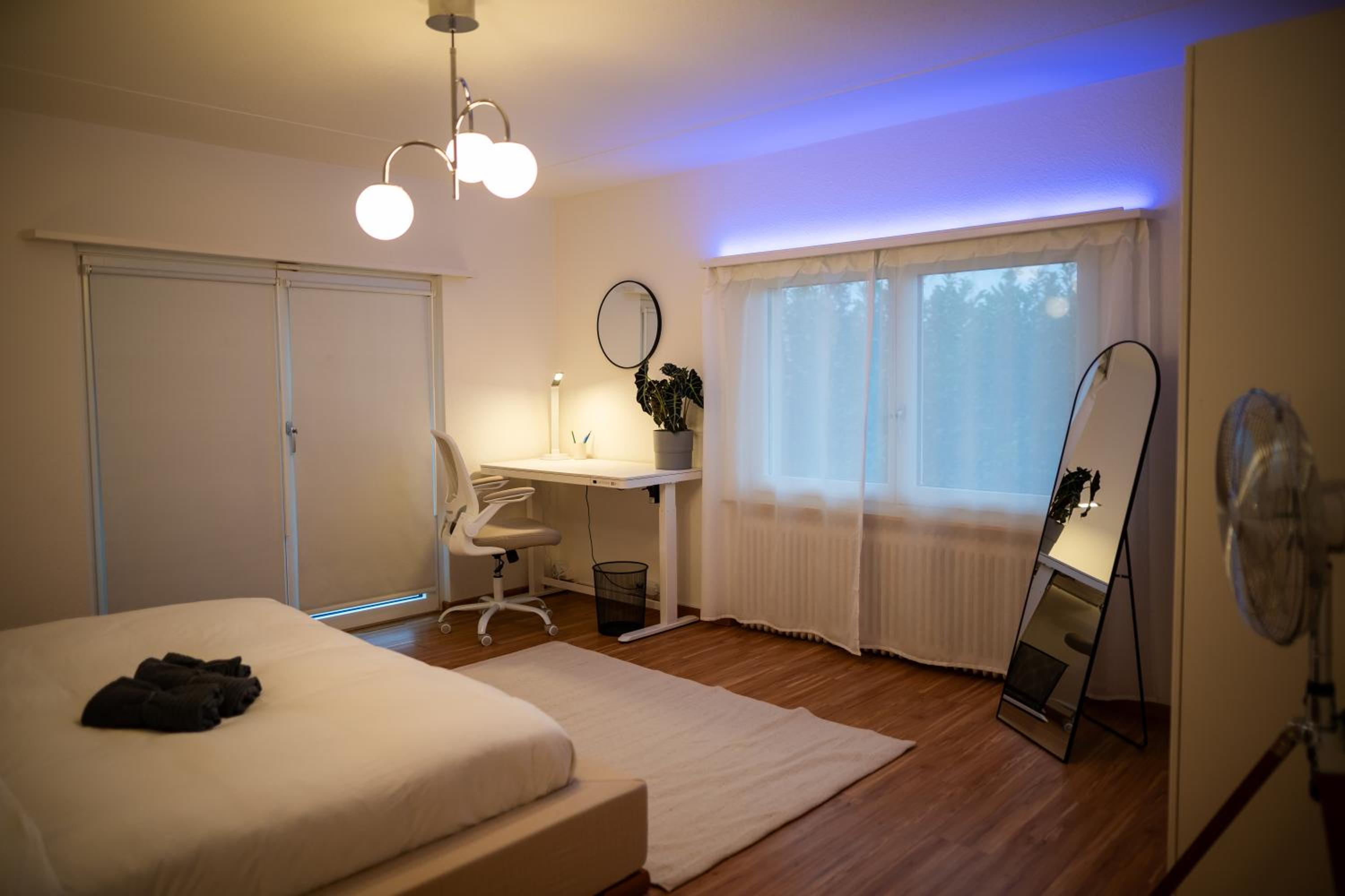 Sky Paradise 20min to zurich city centre