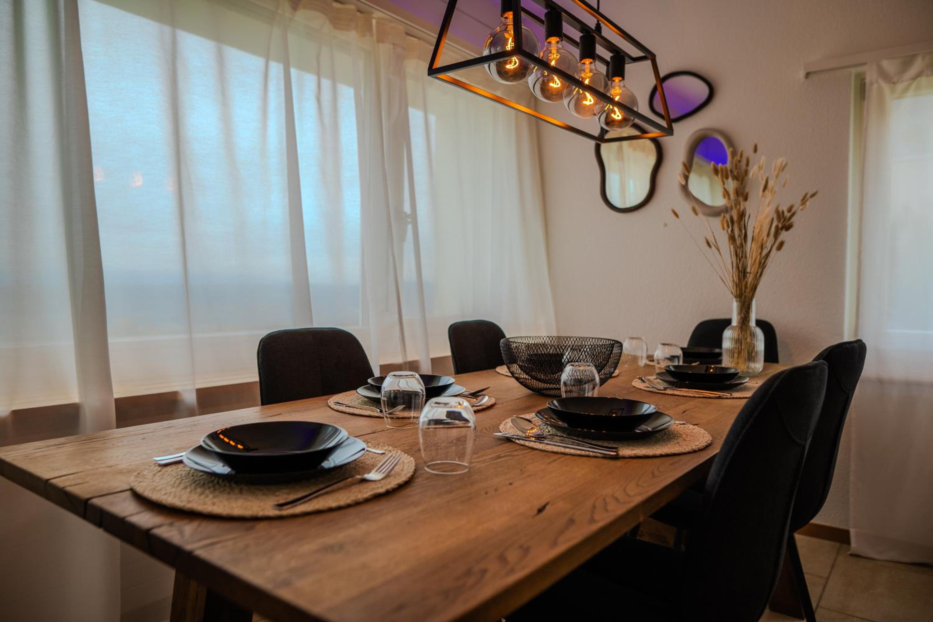 Sky Paradise 20min to zurich city centre