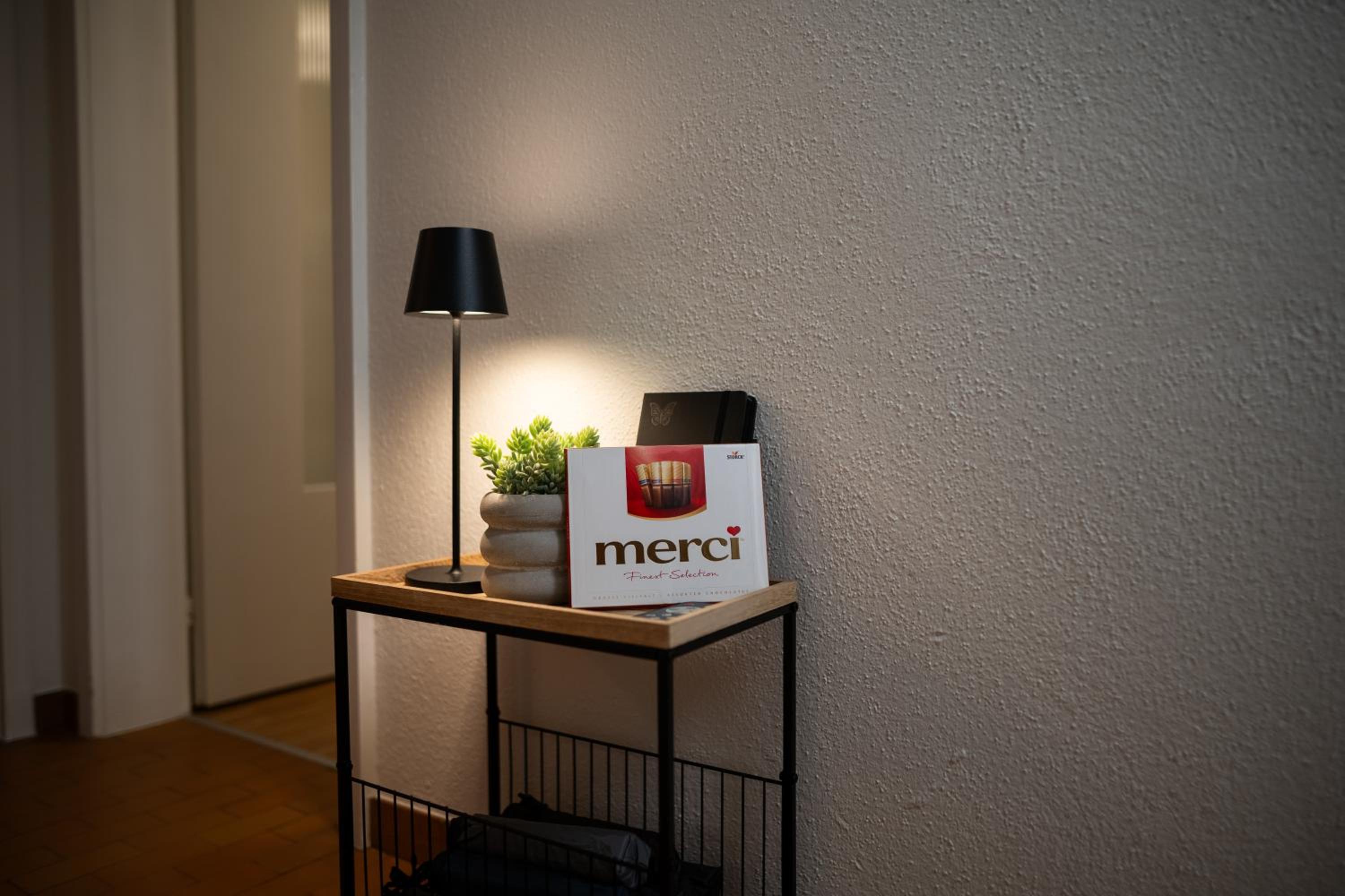 Sky Paradise 20min to zurich city centre