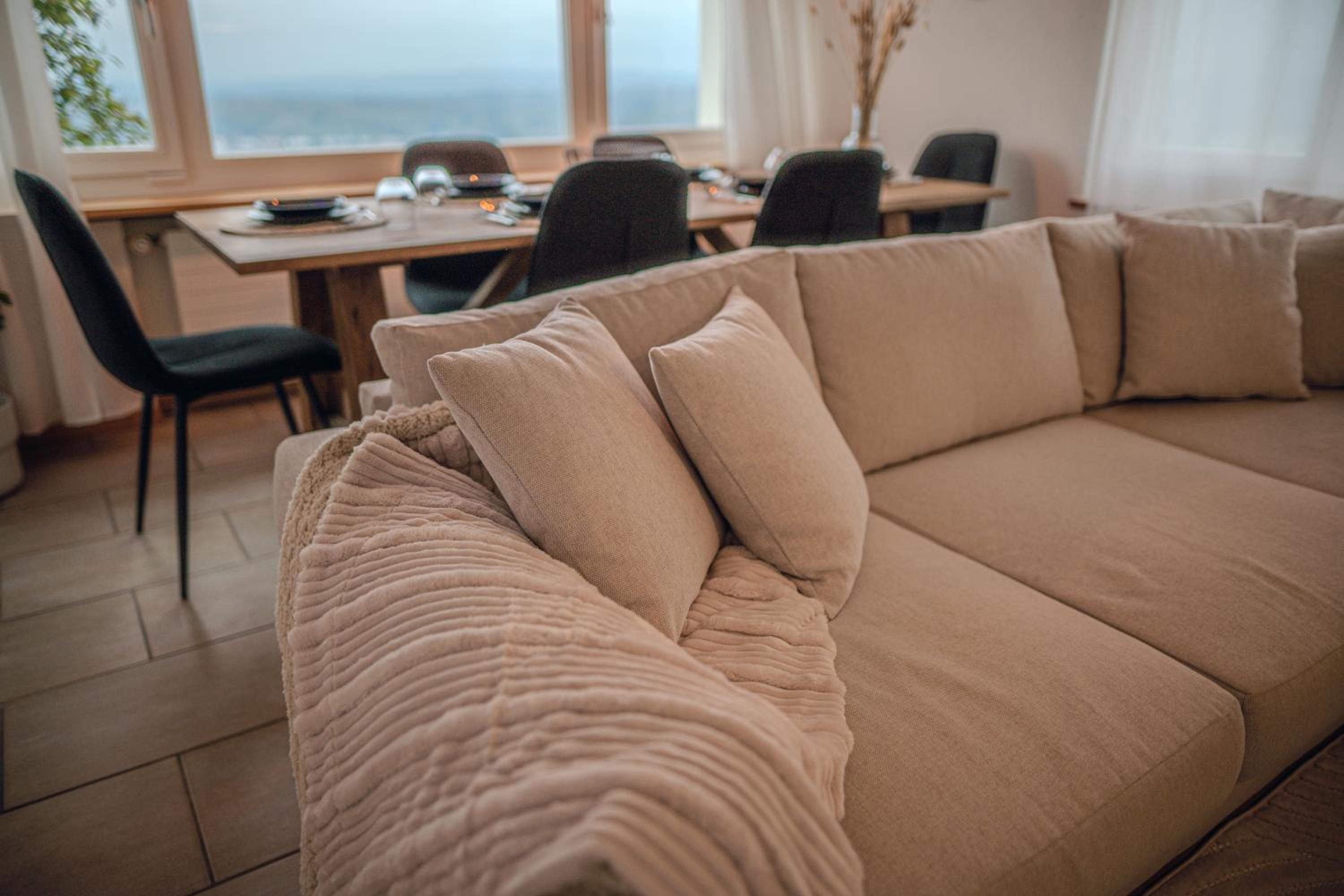 Sky Paradise 20min to zurich city centre