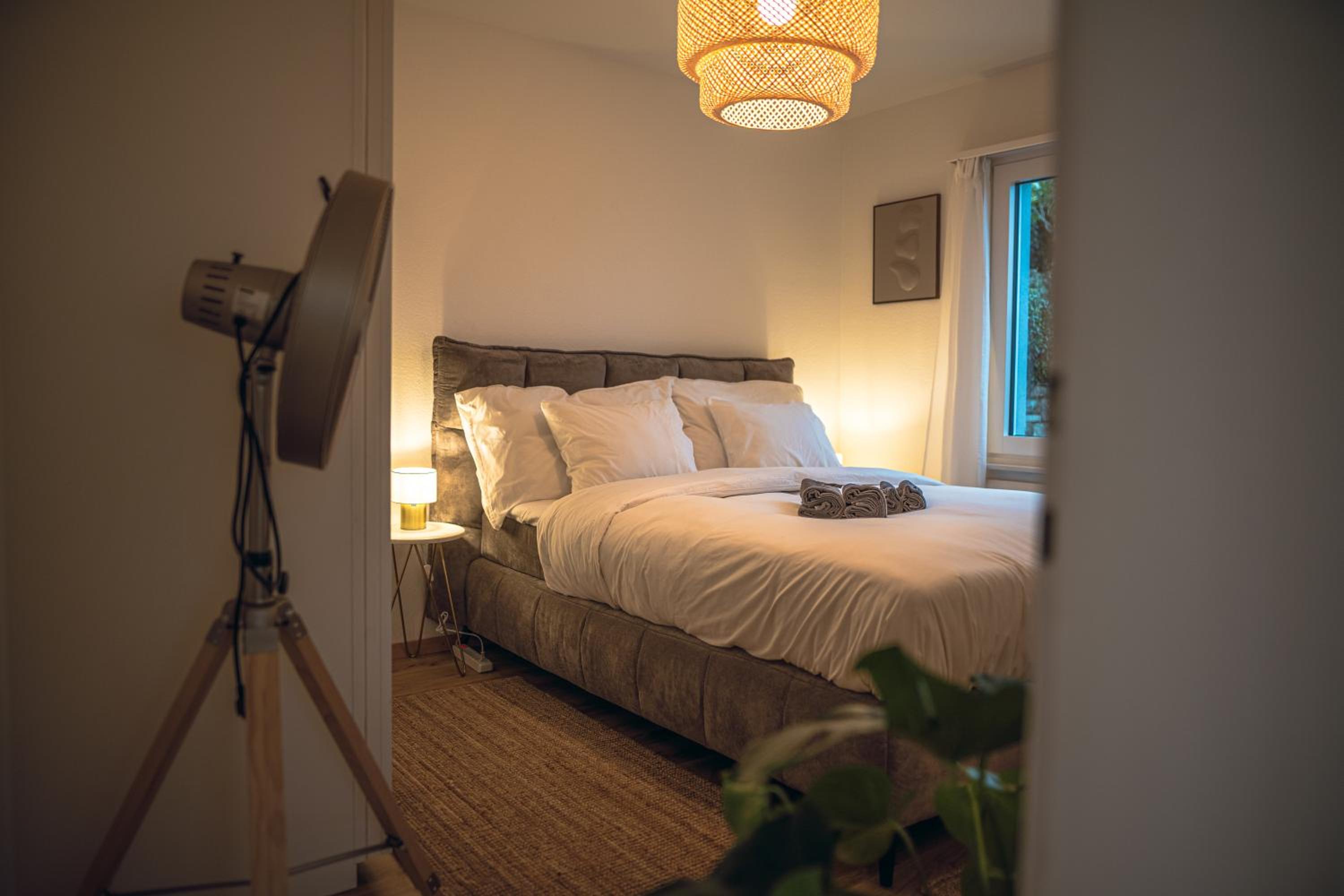 Sky Paradise 20min to zurich city centre