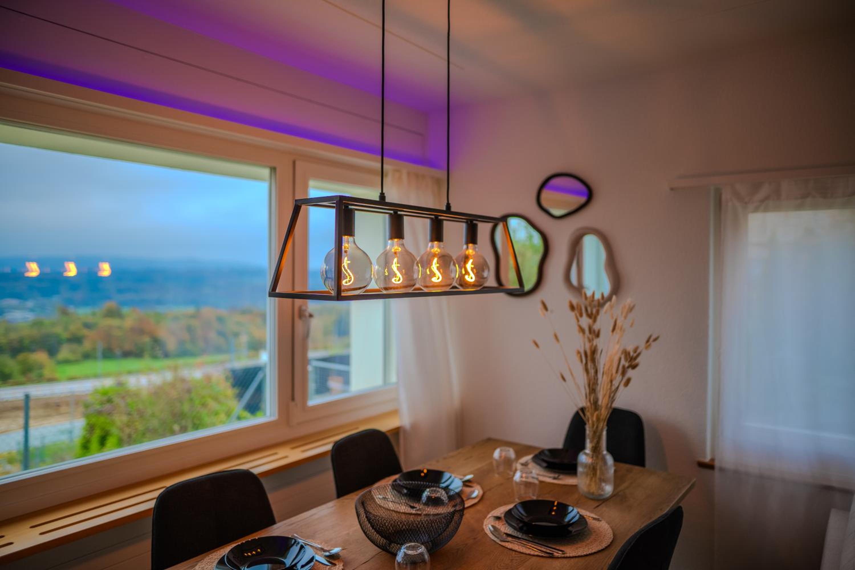 Sky Paradise 20min to zurich city centre