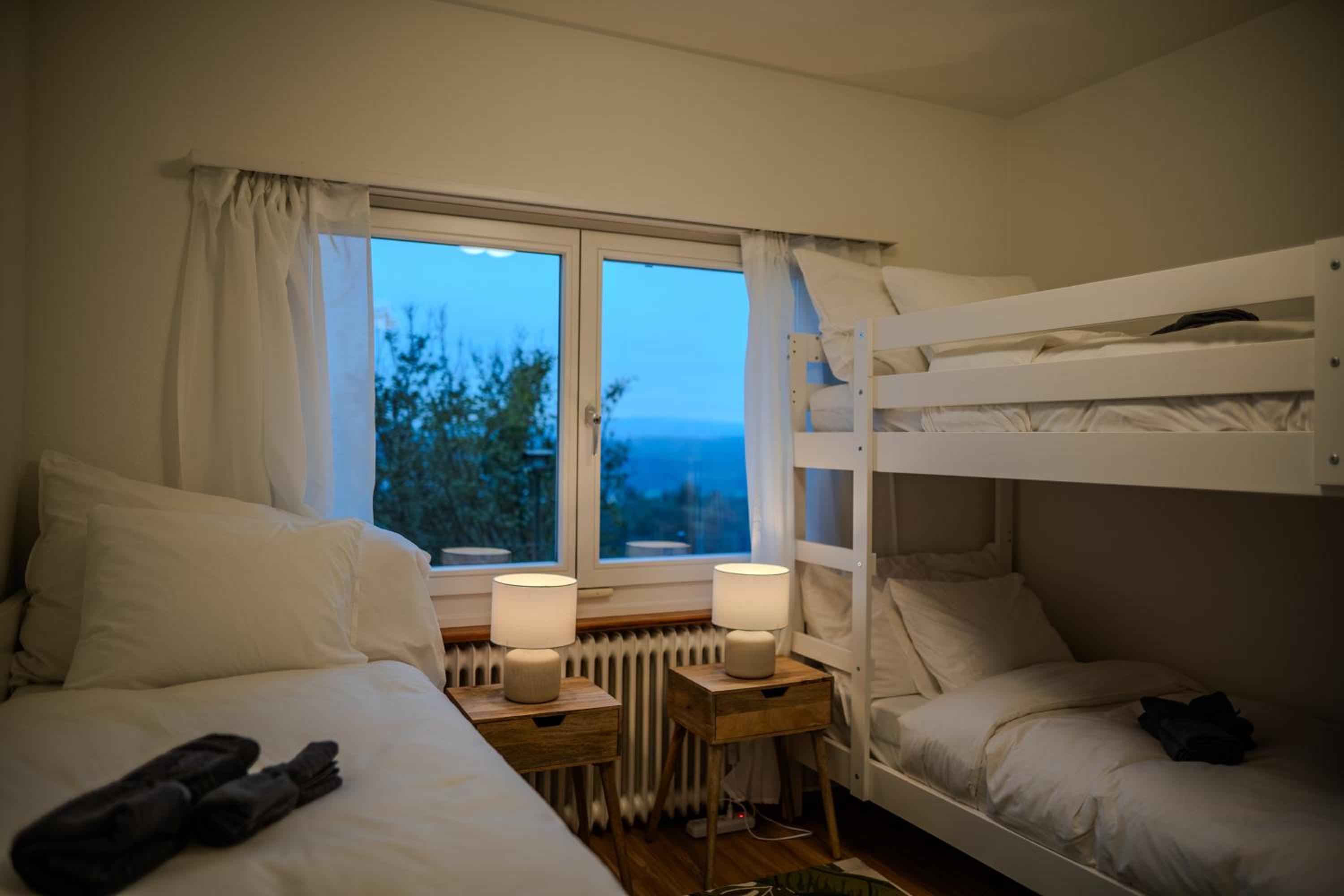 Sky Paradise 20min to zurich city centre