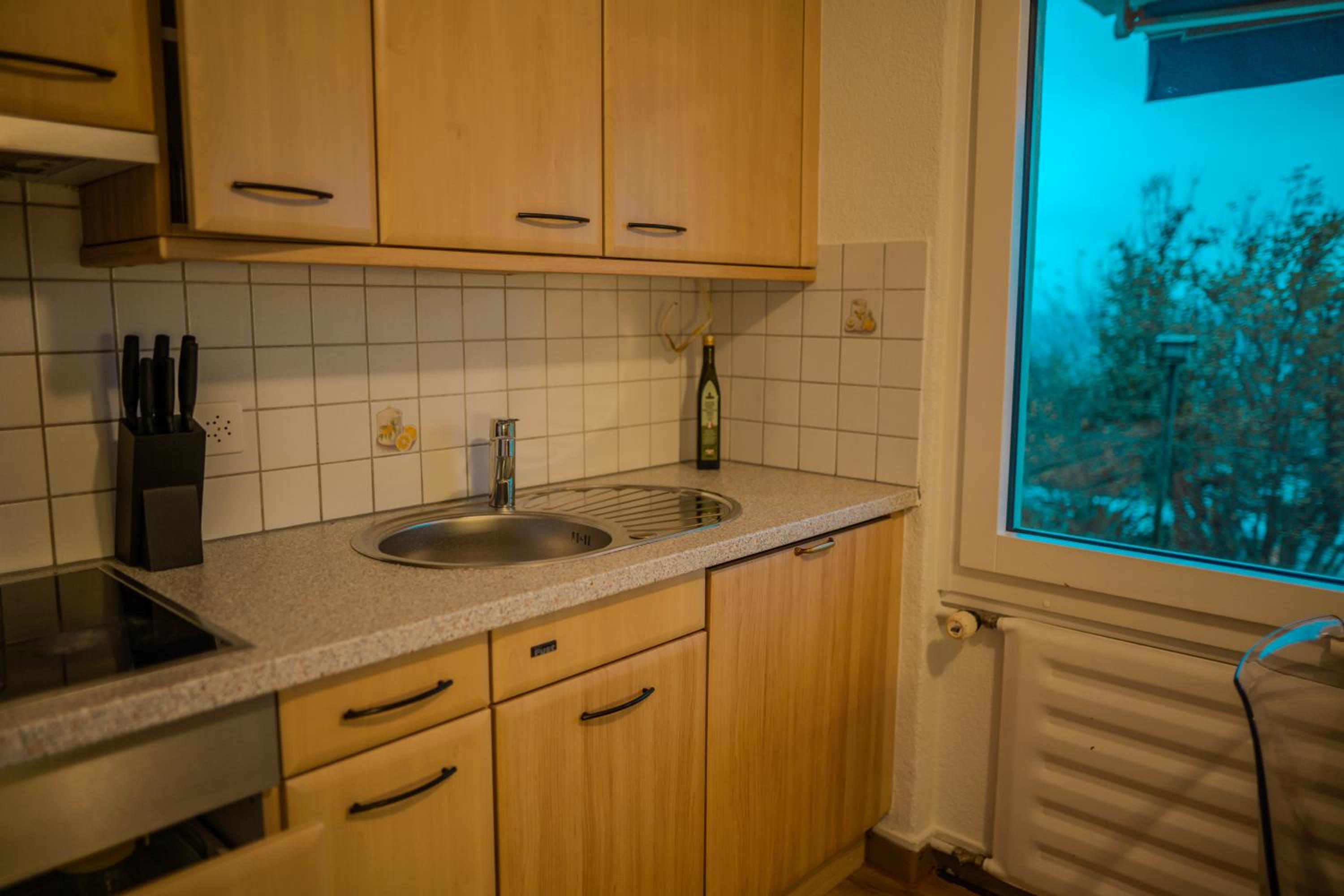 Sky Paradise 20min to zurich city centre