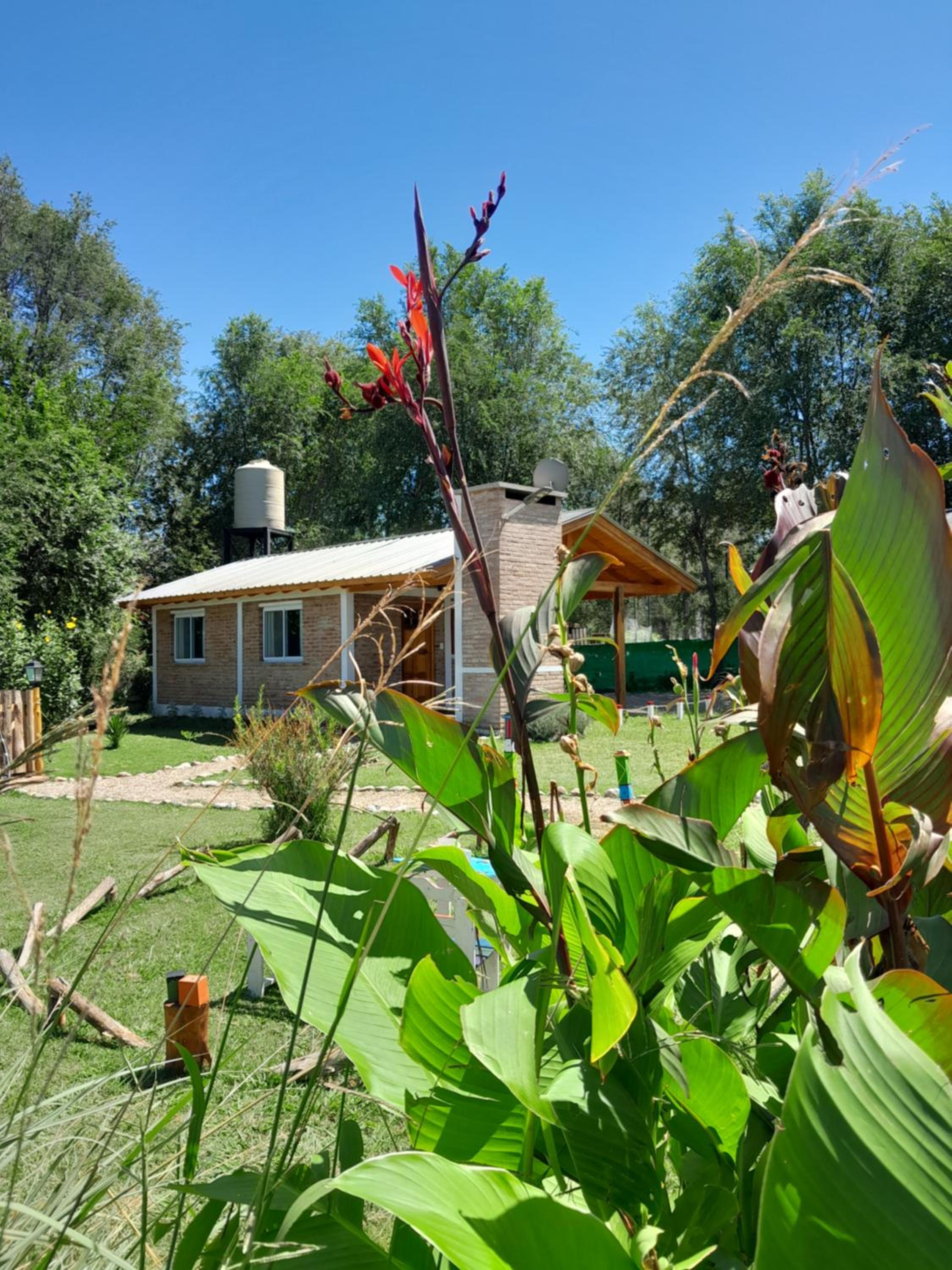 Cabañas El Cardón