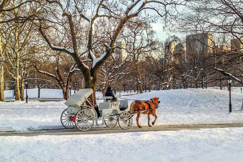Near Time Square Stay in New York City, Columbus Circle and Health Kitchen