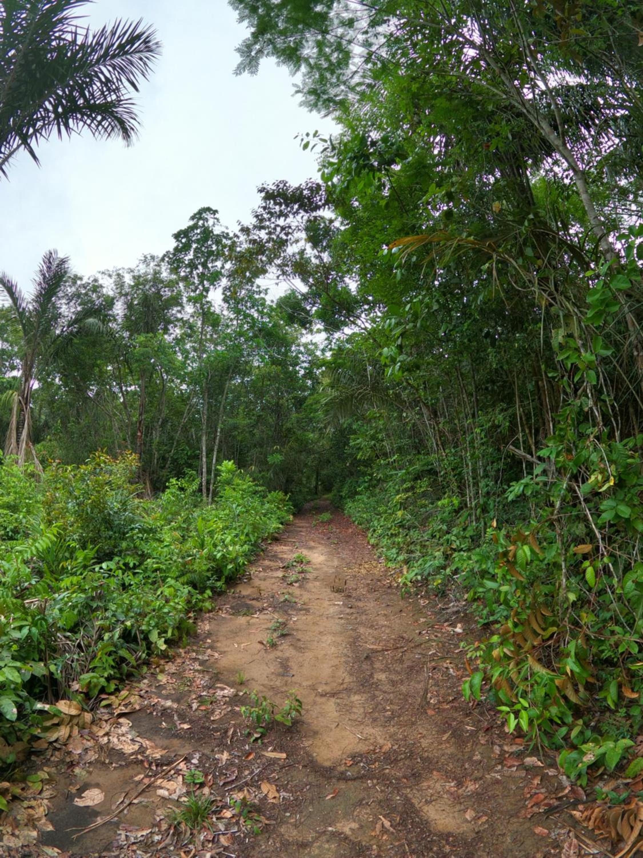 LUZ AMAZÔNIA LODGE