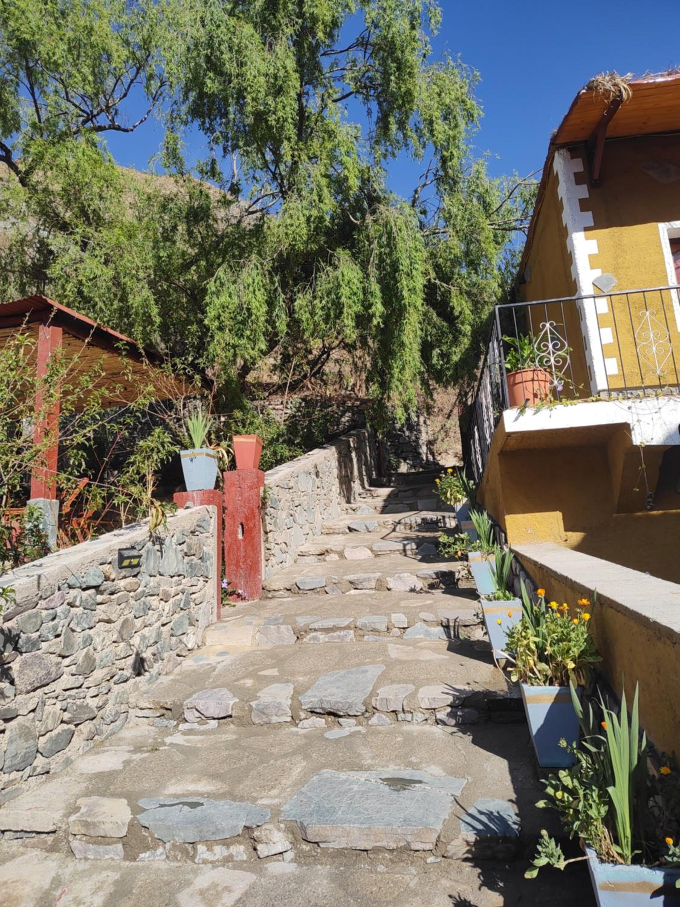 POSADITA LOS ALAMOS Alojamiento de montaña estamos en San Isidro a 8km pasando Iruya lea atentamente la descripción se hace caminando Turismo aventura cons