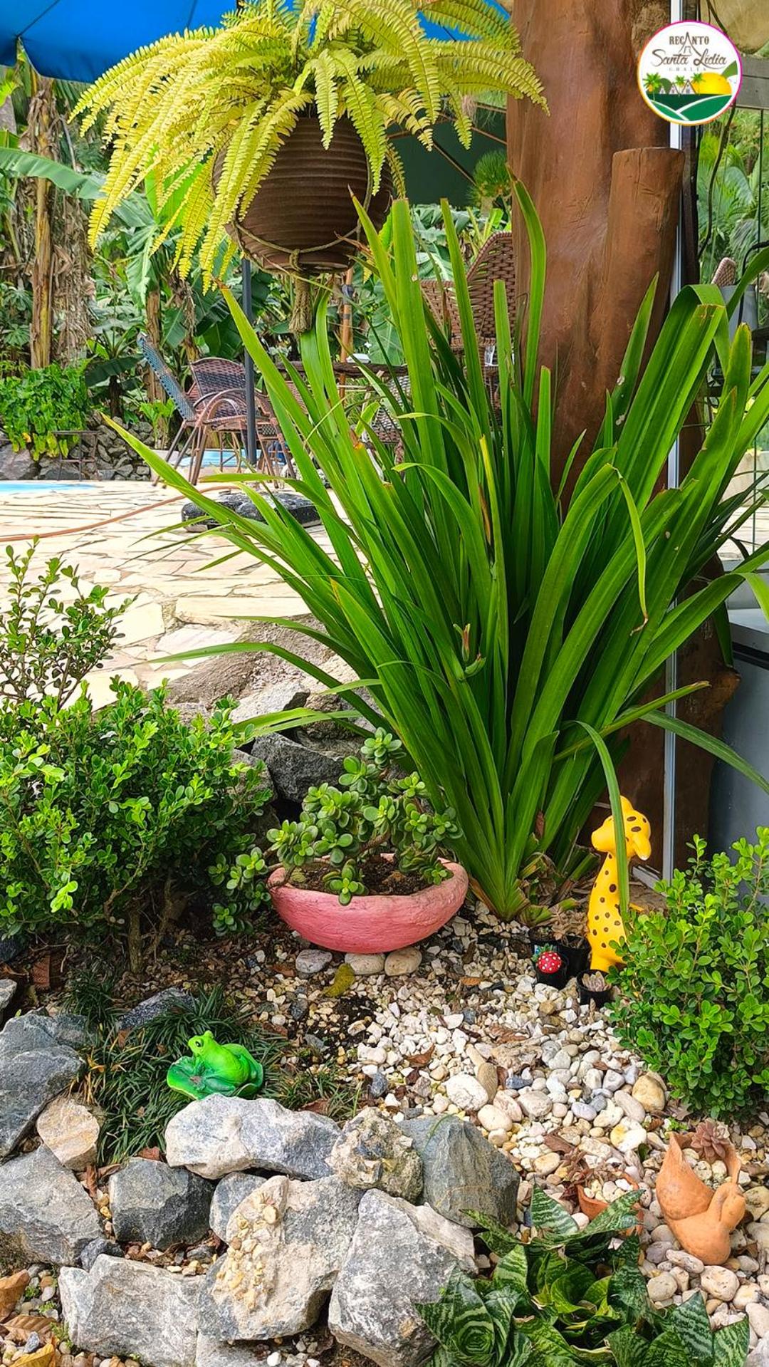Chalé Primavera Rosa com piscina
