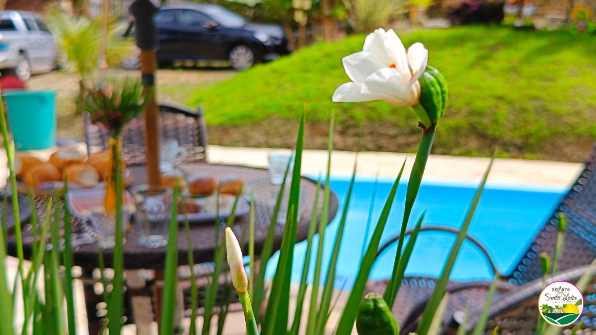 Chalé Primavera Rosa com piscina
