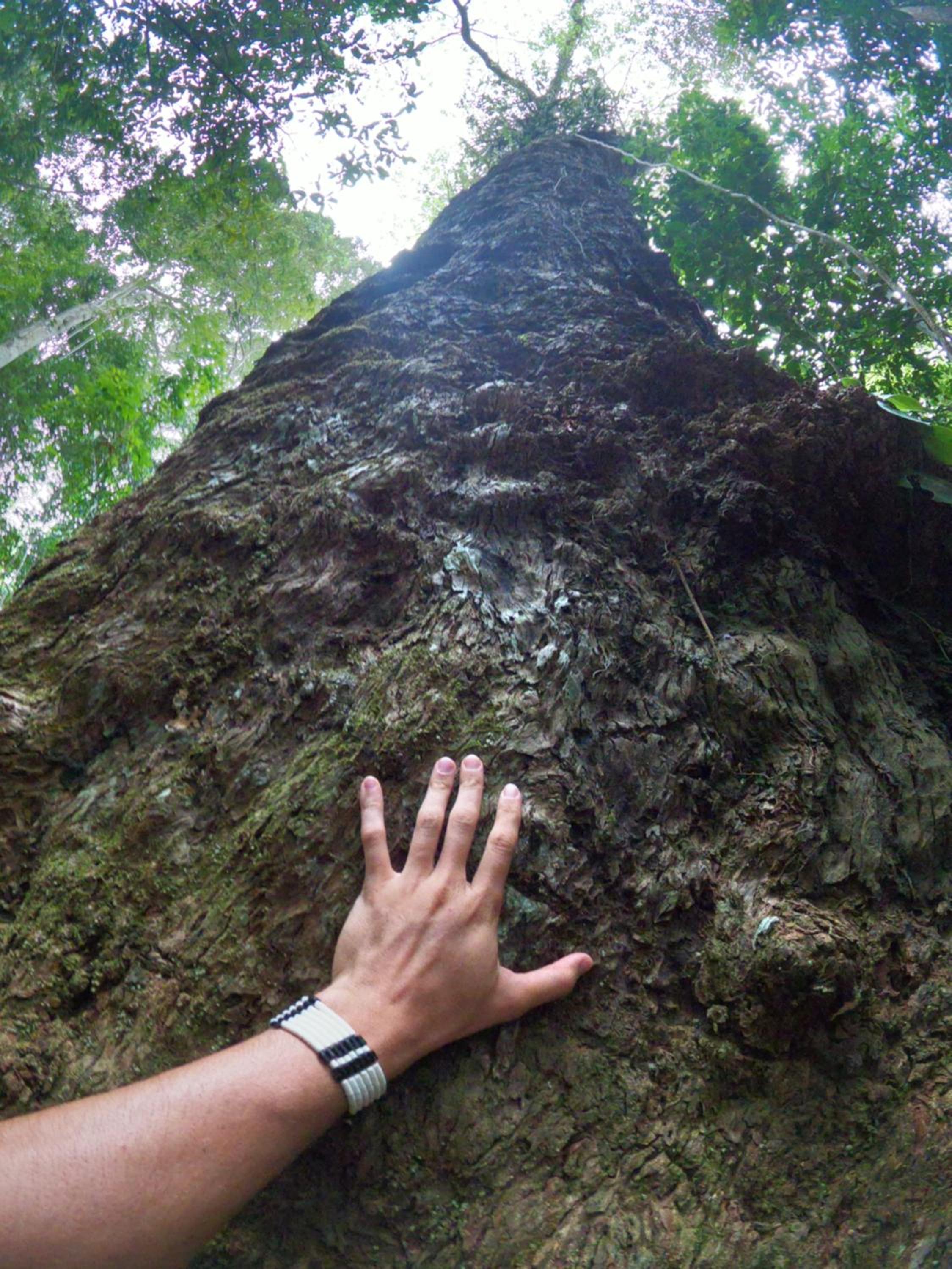 LUZ AMAZÔNIA LODGE