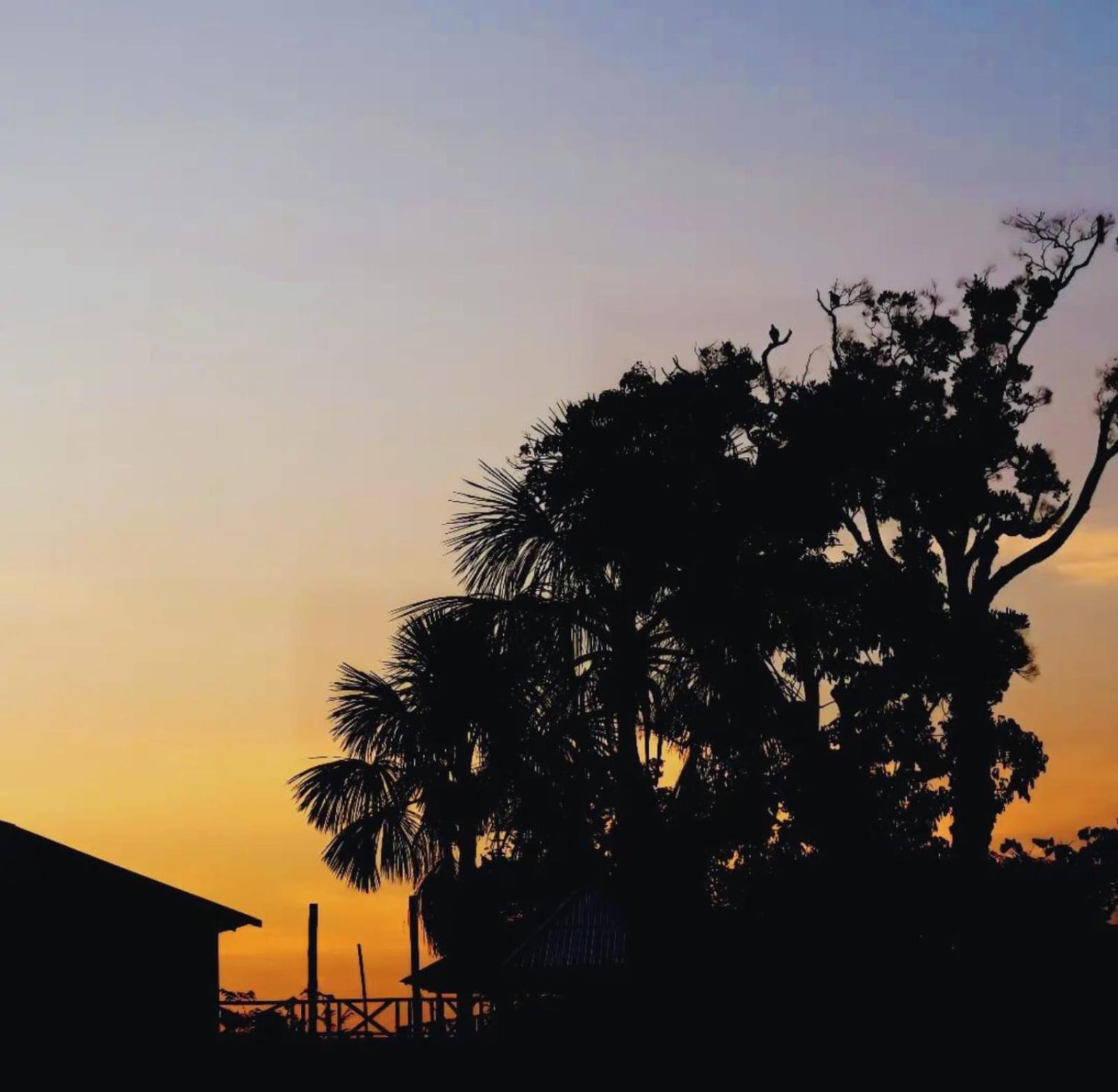 LUZ AMAZÔNIA LODGE