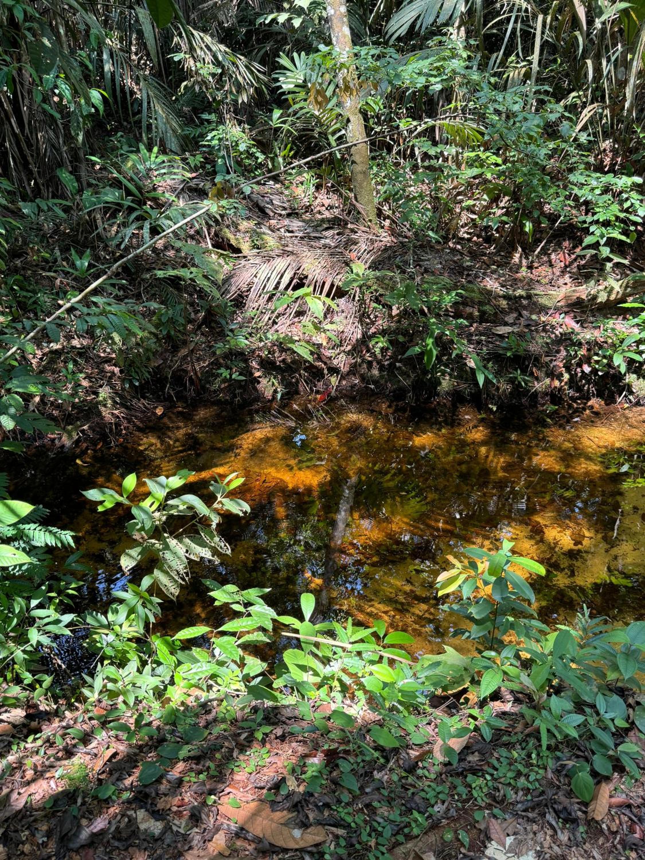 LUZ AMAZÔNIA LODGE