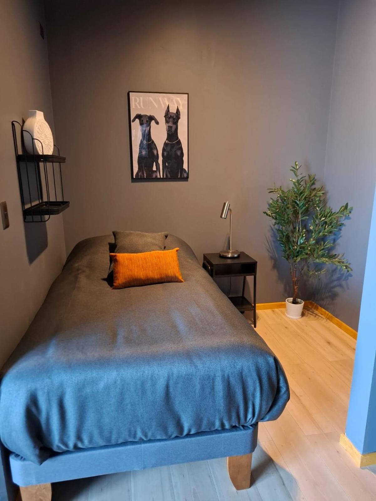 Hotel Boutique 501