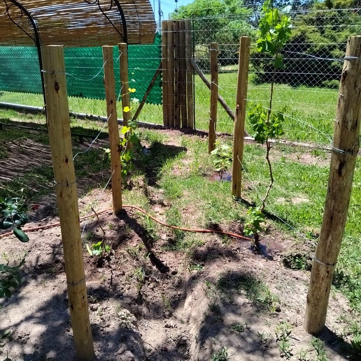 Antigua casa de bodega pax 4