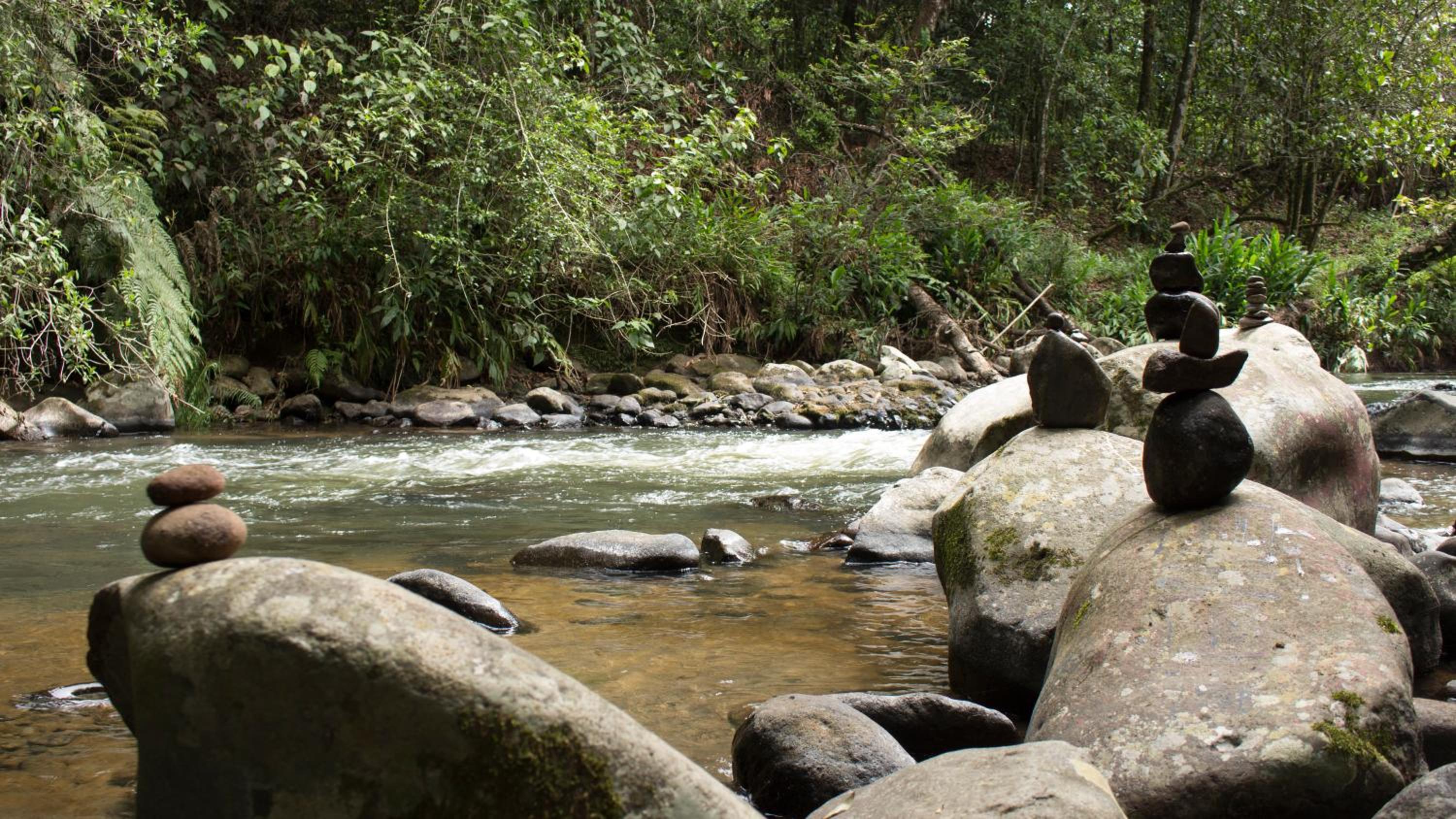 Glamping Reserva Natural Amalaka