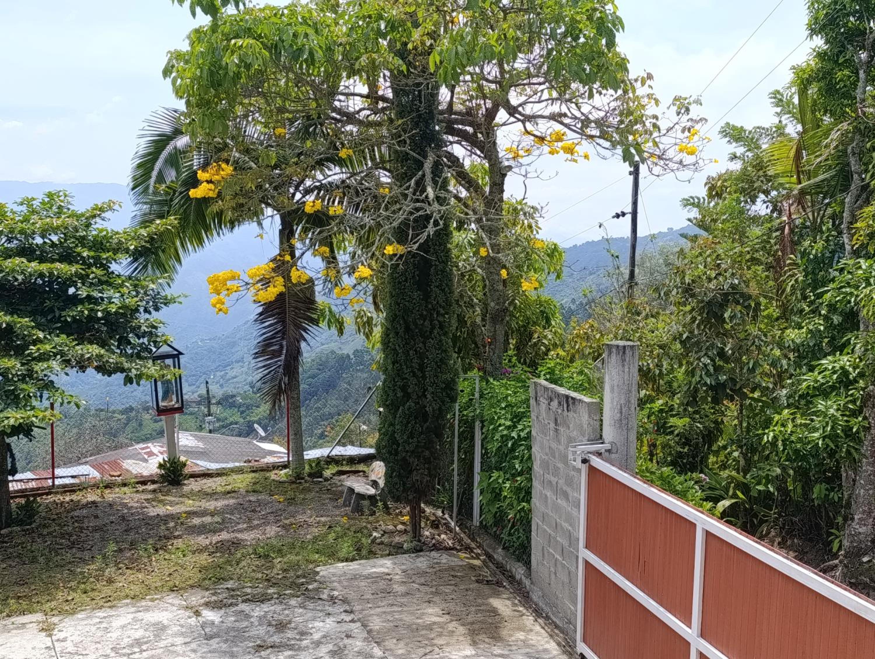 Finca los pinos
