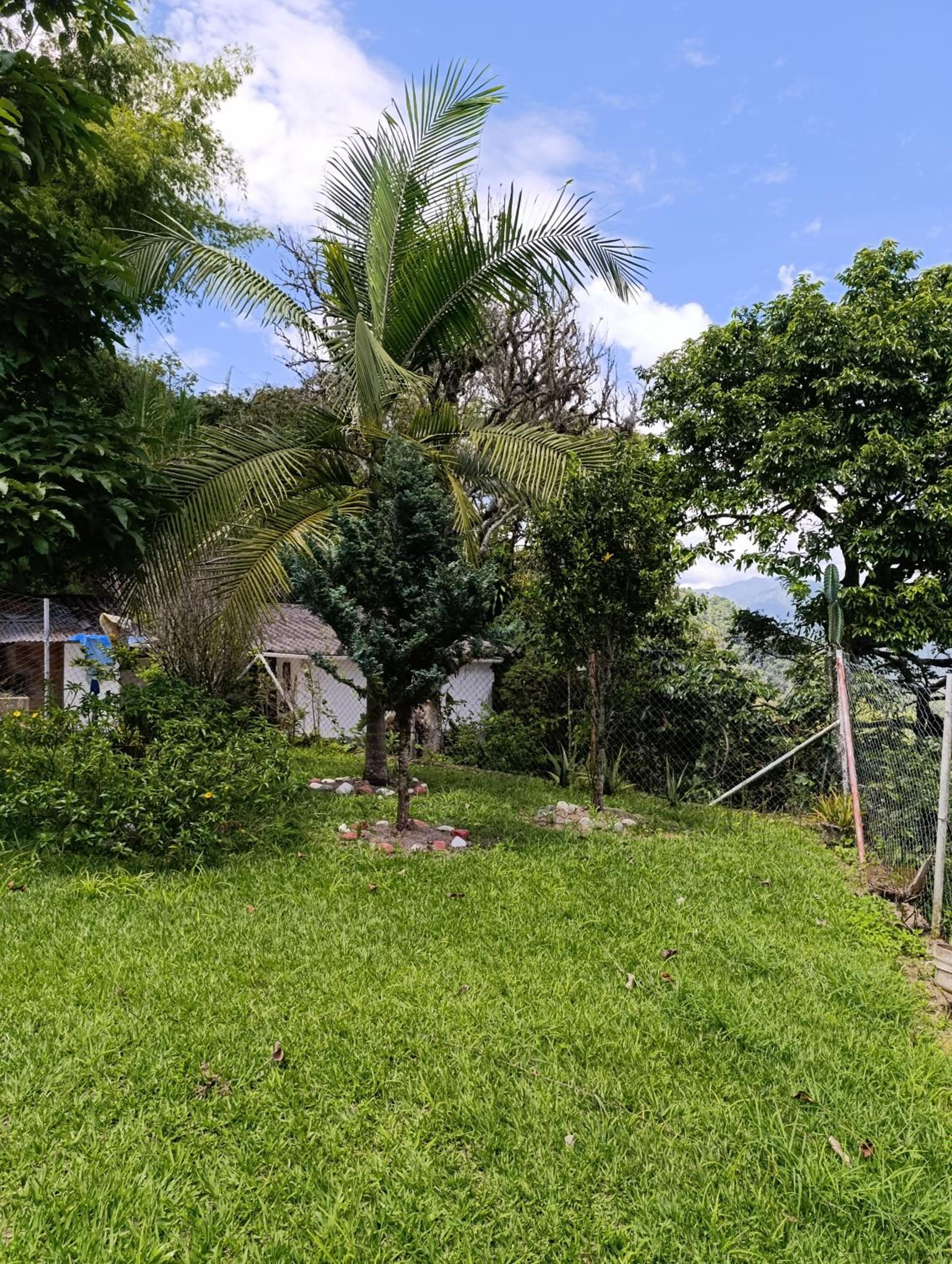 Finca los pinos