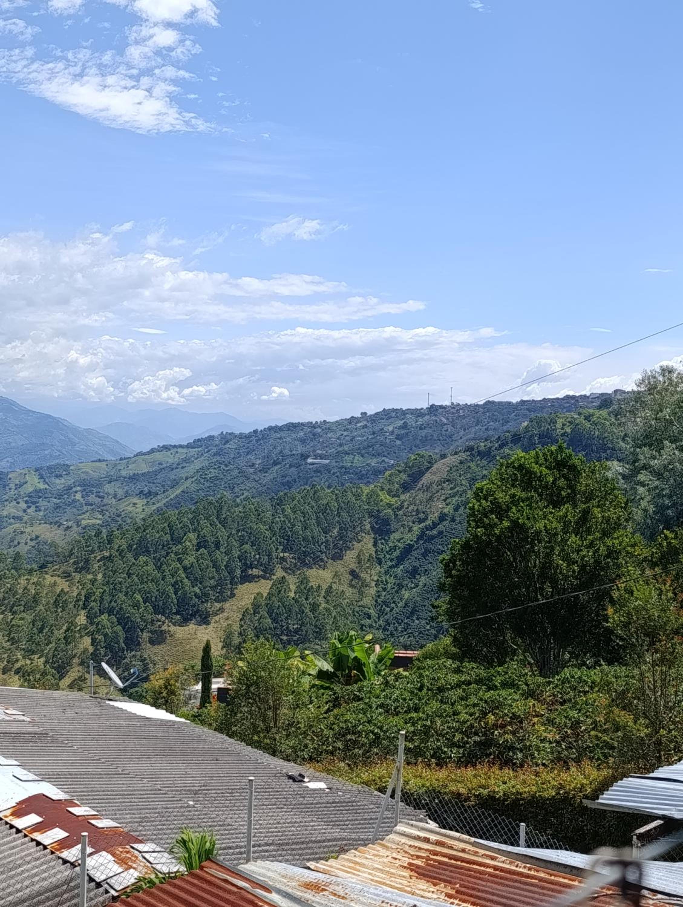 Finca los pinos