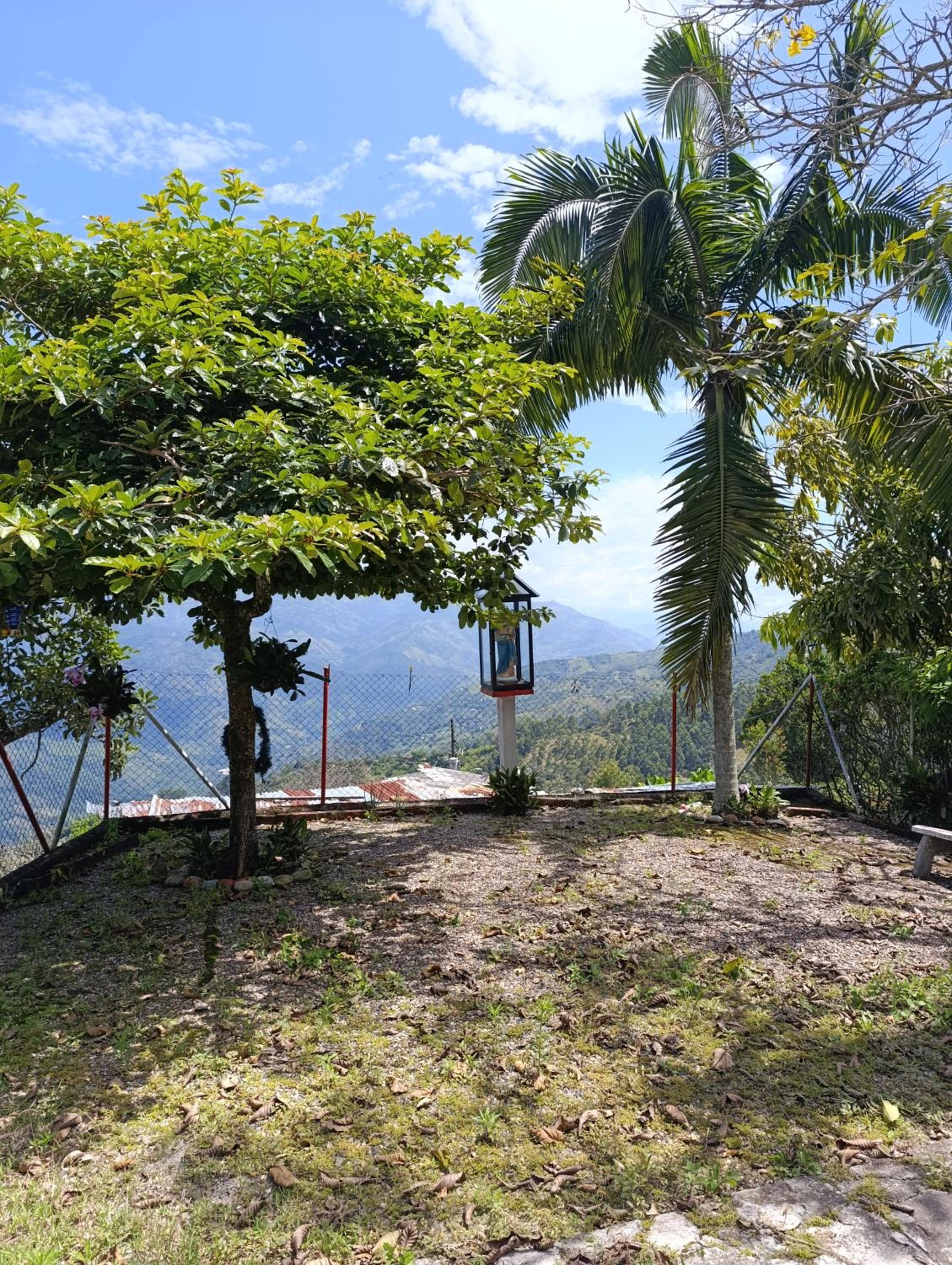 Finca los pinos