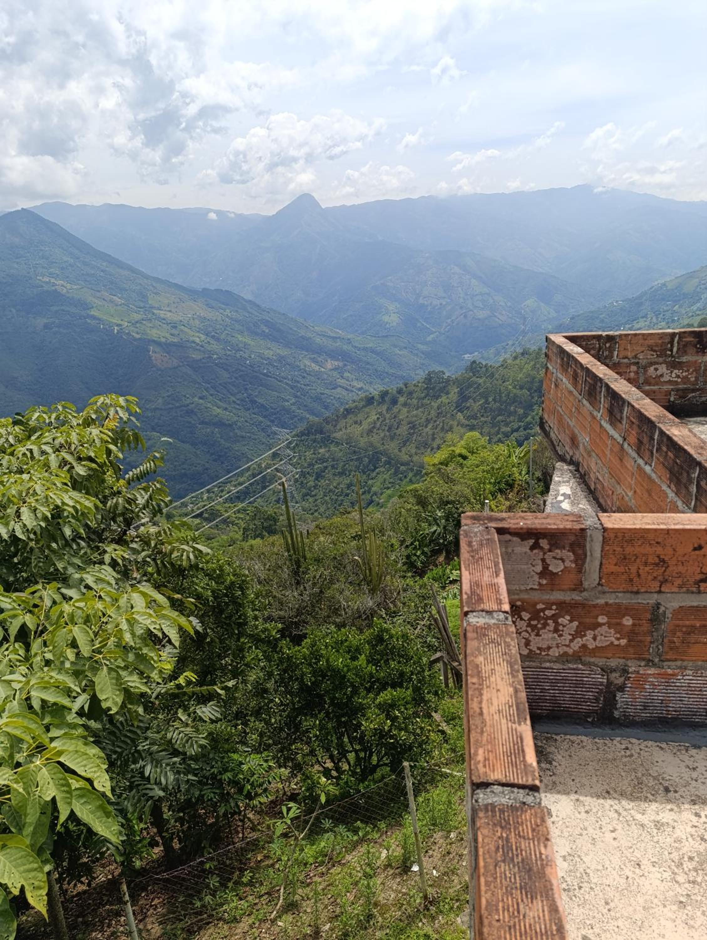 Finca los pinos