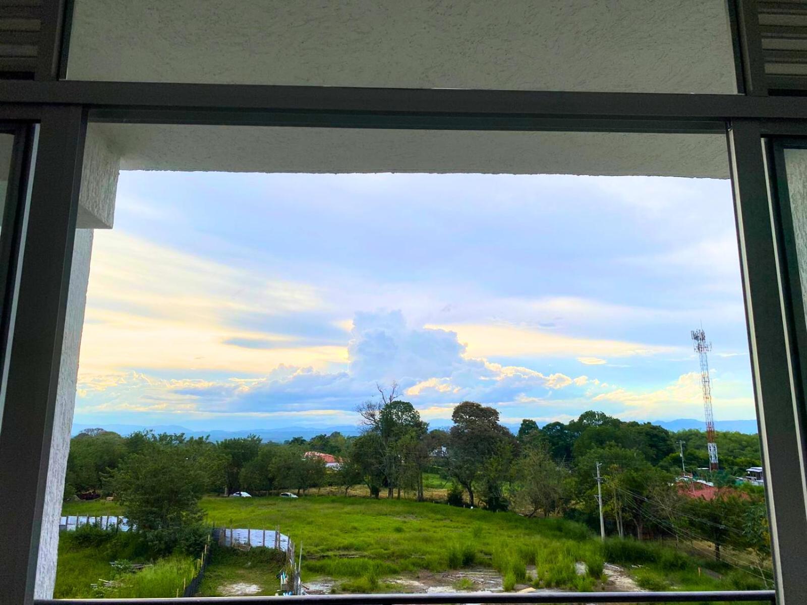 El nido del Quindio