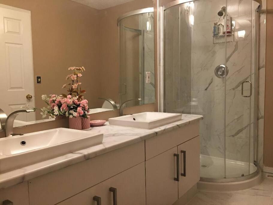 Renovated 4 bedrooms 20 sleeps Shopping Center