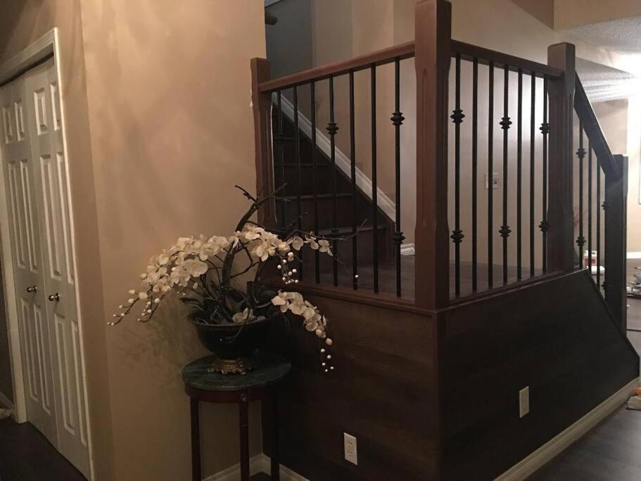 Renovated 4 bedrooms 20 sleeps Shopping Center