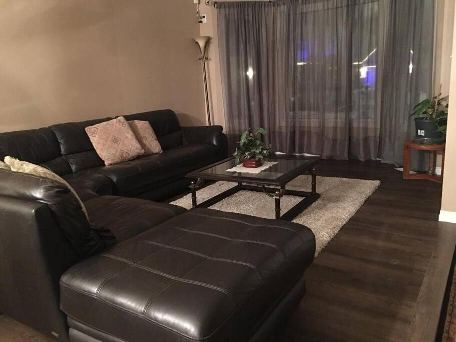 Renovated 4 bedrooms 20 sleeps Shopping Center