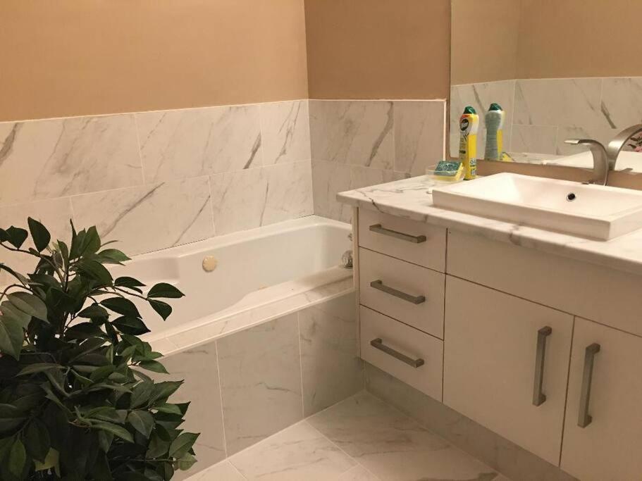 Renovated 4 bedrooms 20 sleeps Shopping Center