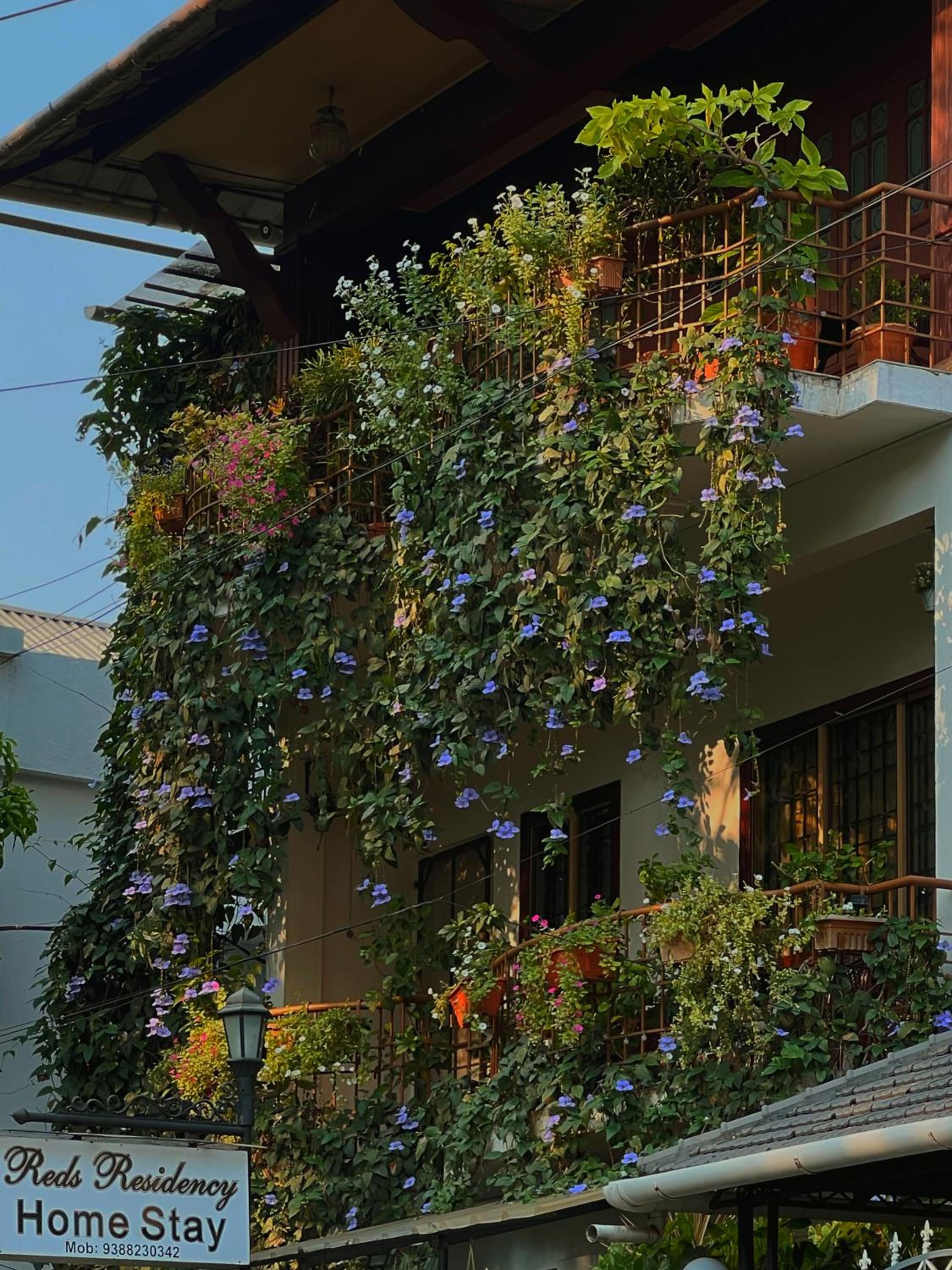 Reds Residency - Homestay