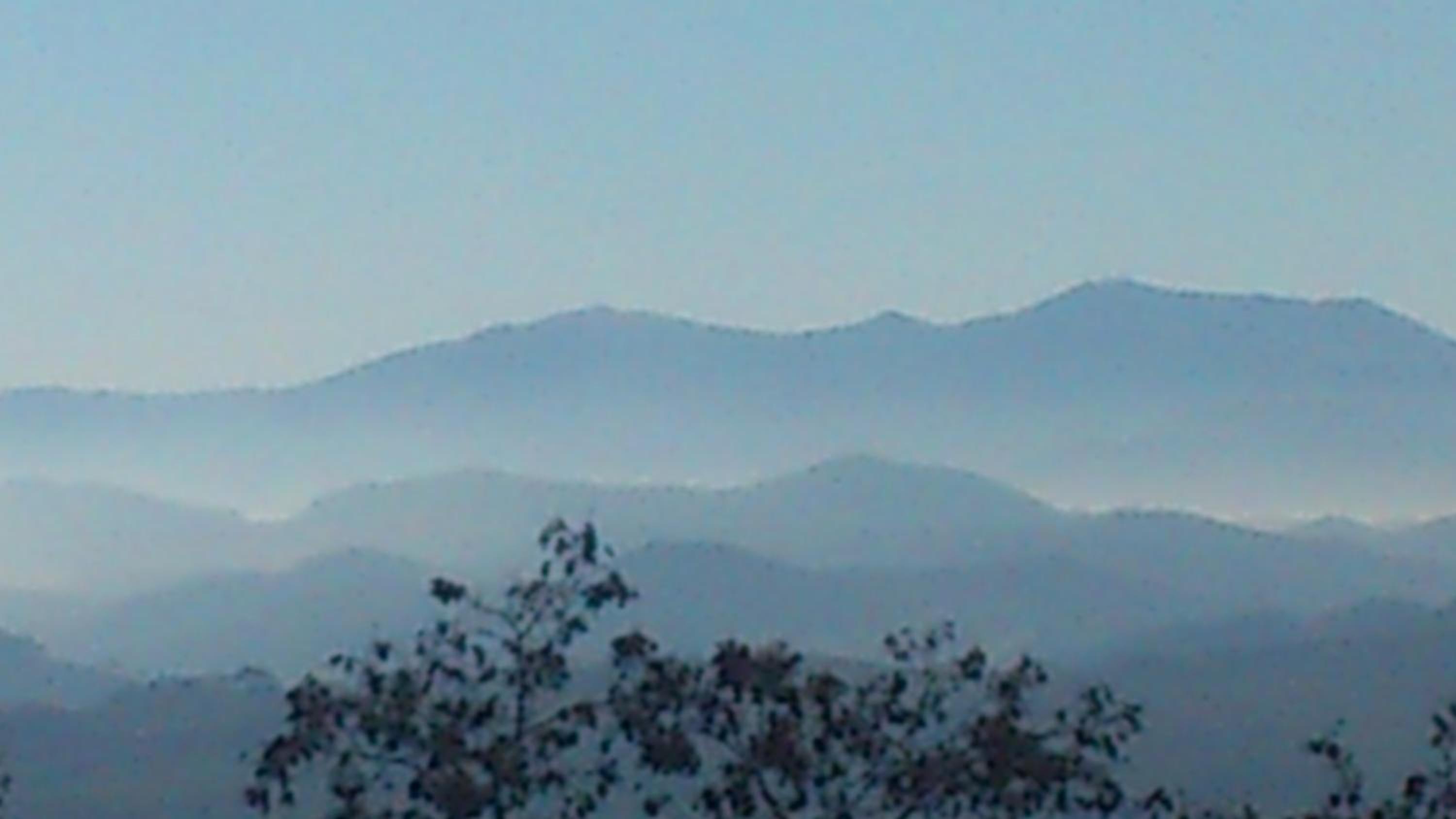 Il Poggio Dei Prugnoli