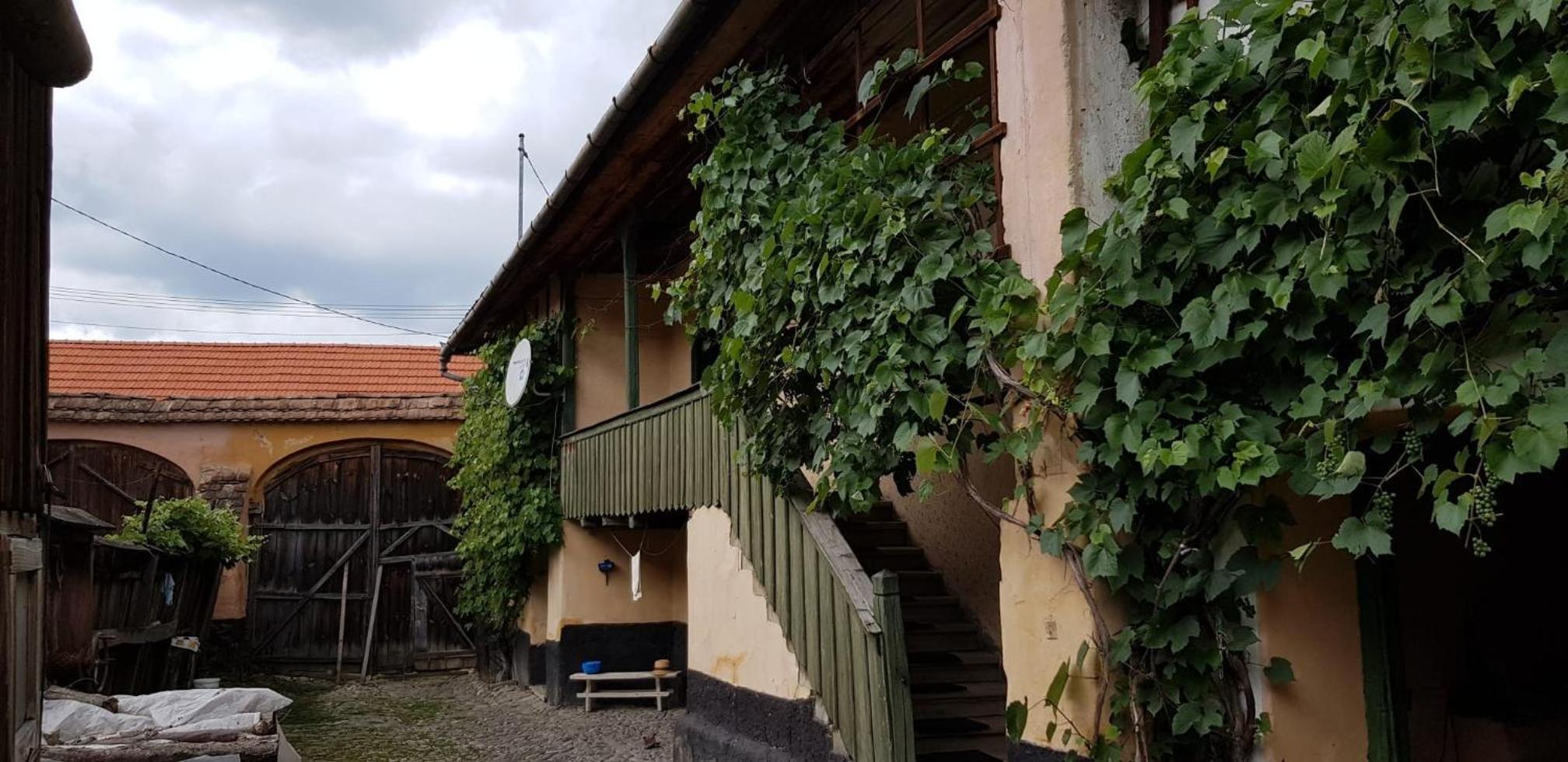 Ingrid & Astrid Old Haunted Manor view 5