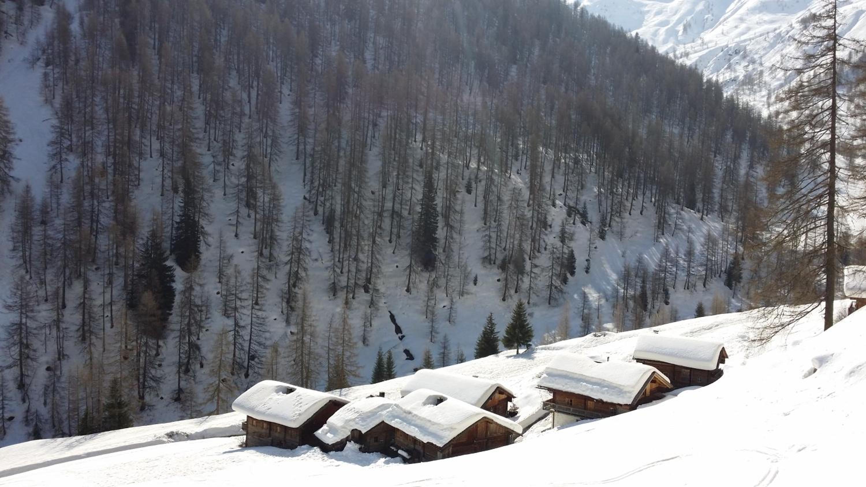 Almhütte Oberschaller bei Alfenalm - Ferienwohnungen am Berg