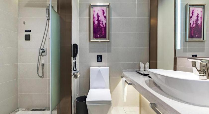 Lavande Hotel Hengshui Huizhong Plaza