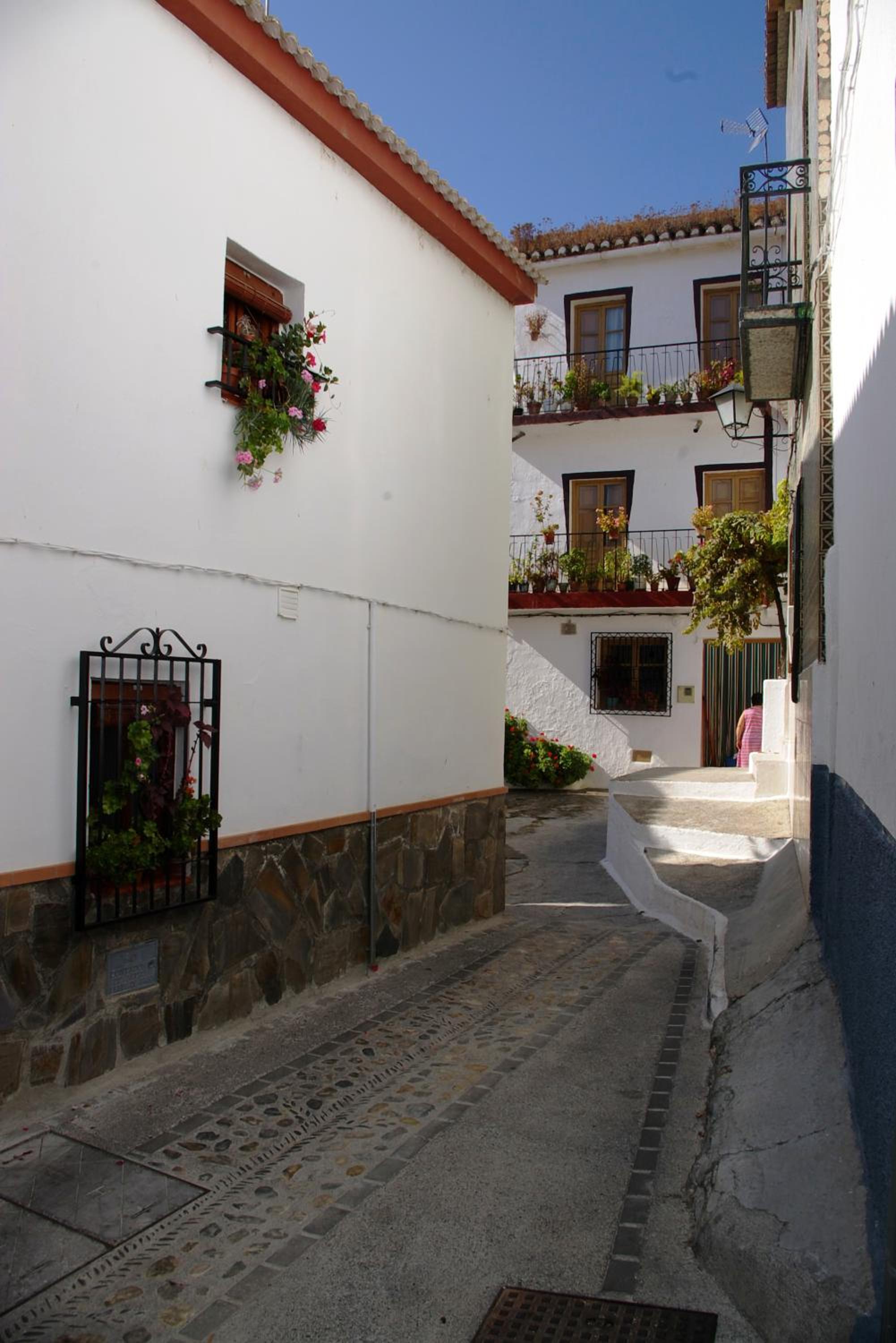 Hostal y Apartamento Rural Los Naranjos