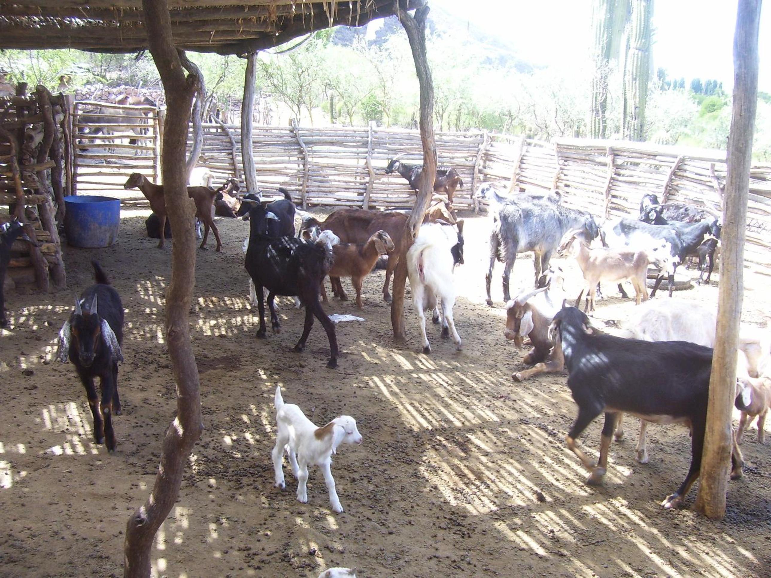 Finca Puesta del sol