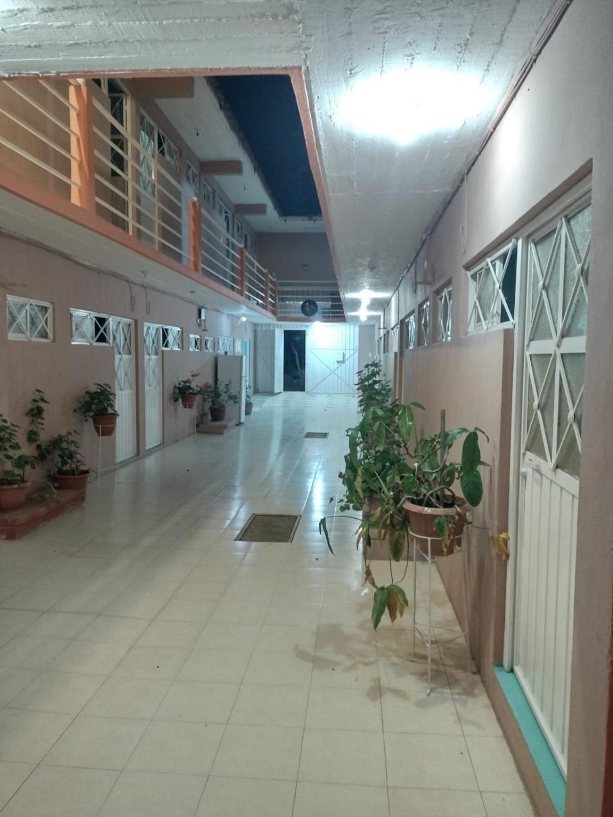 Hostal Eclipse Oaxaca - Property Image 20