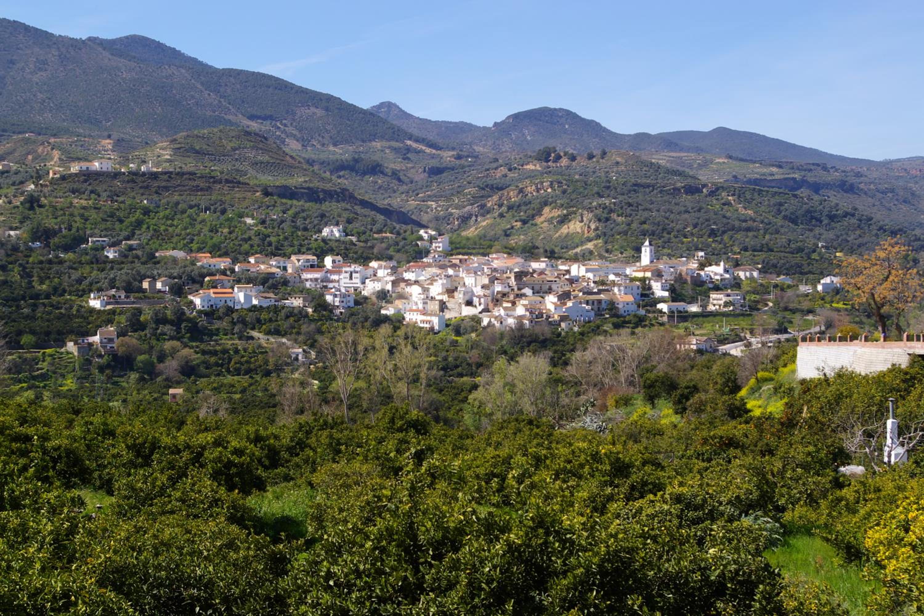 Hostal y Apartamento Rural Los Naranjos