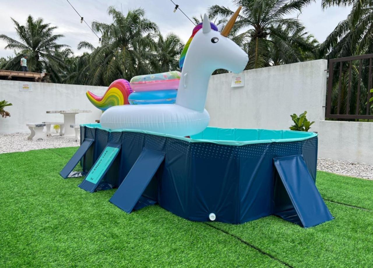 Kuala Selangor Semi -D 30pax Ev WallBox KTV Children Pool view 4