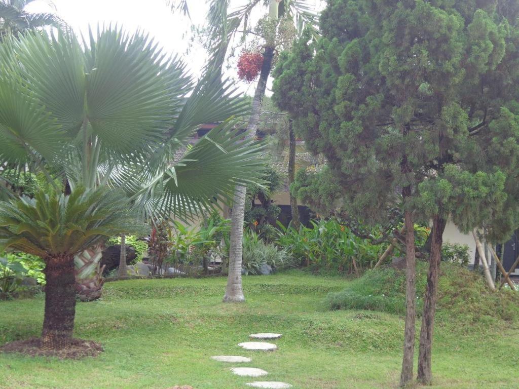 Insumo Palace Hotels & Resorts view 5